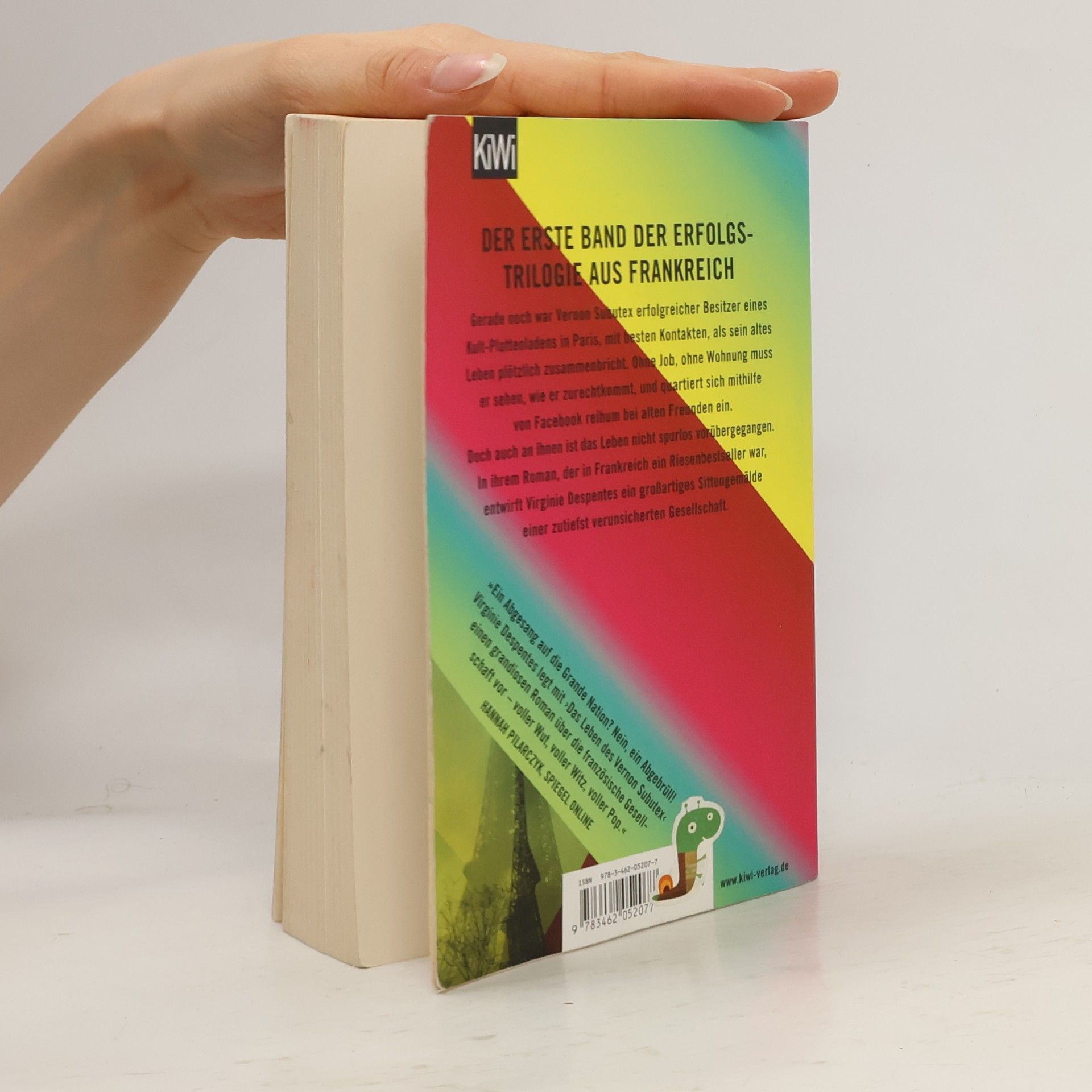 Virginie Despentes Das Leben des Vernon Subutex 1