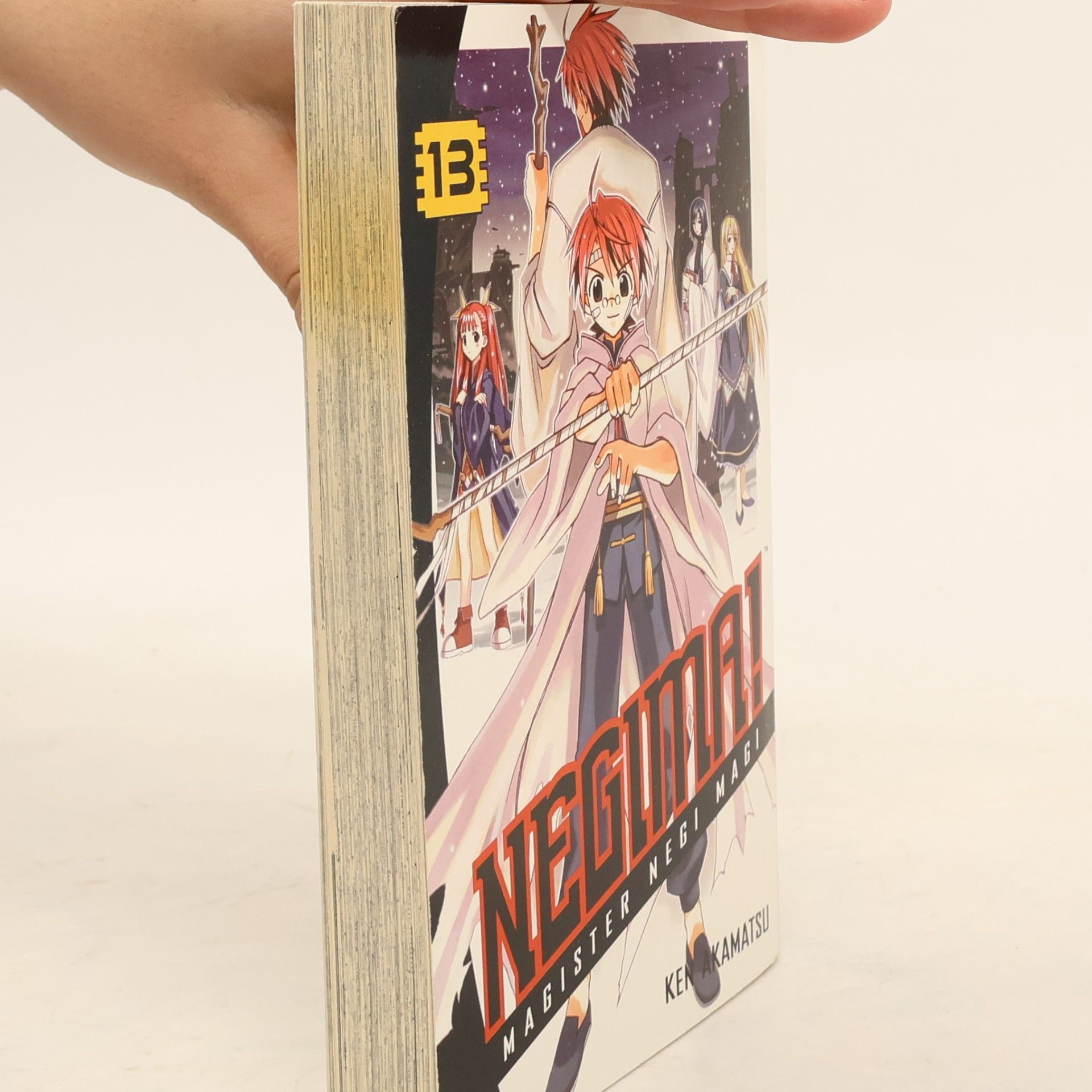 Cornerstone Negima! 13