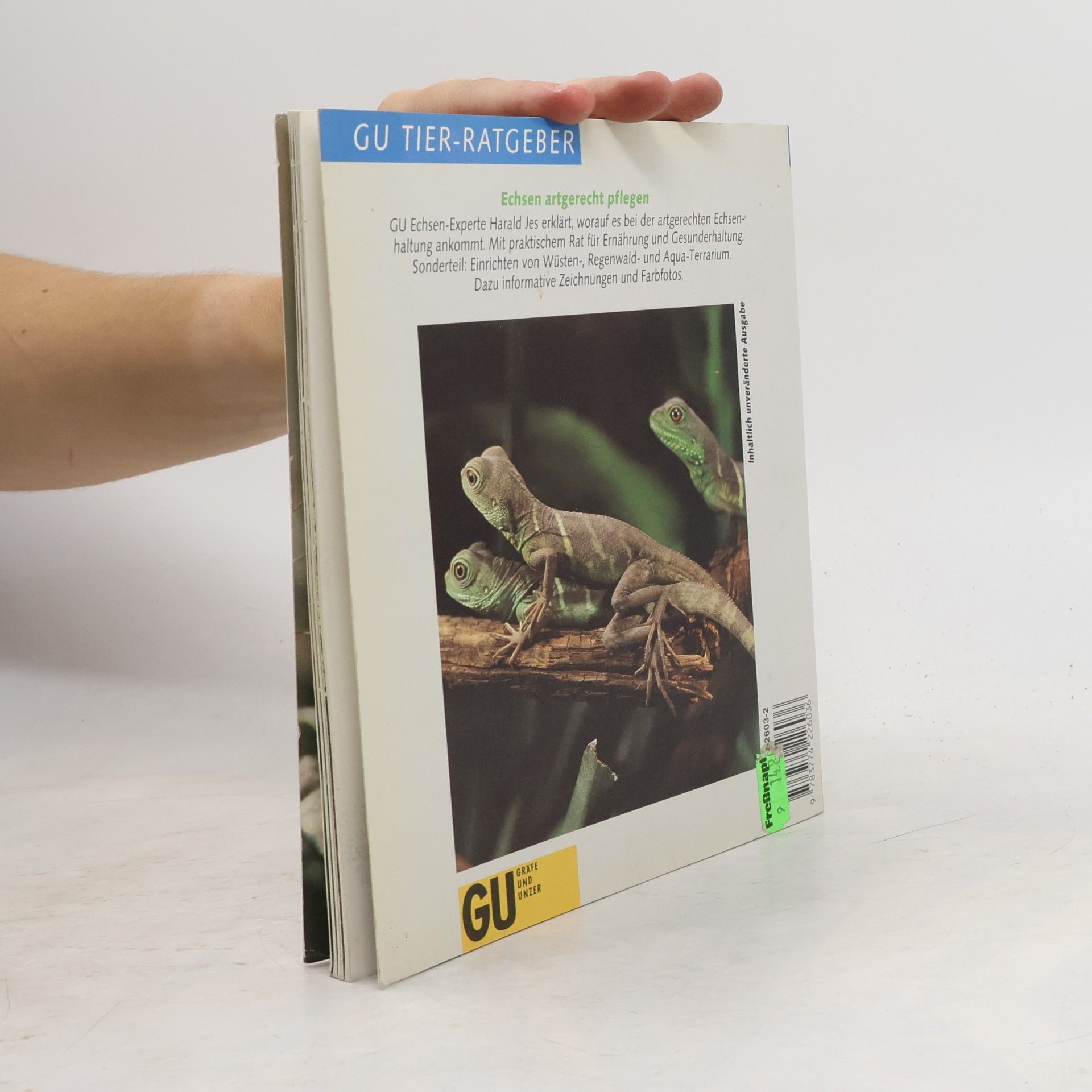Herald Jes Echsen als Terrarientiere