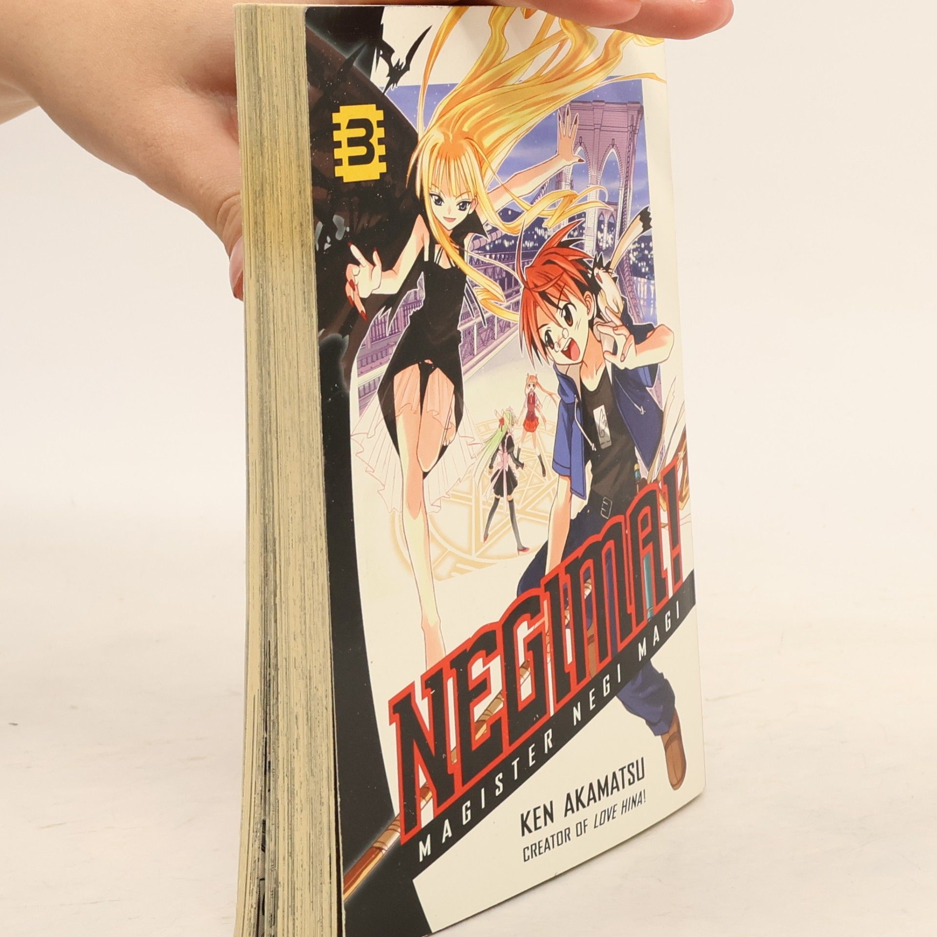 Negima! Magister Negi Magi