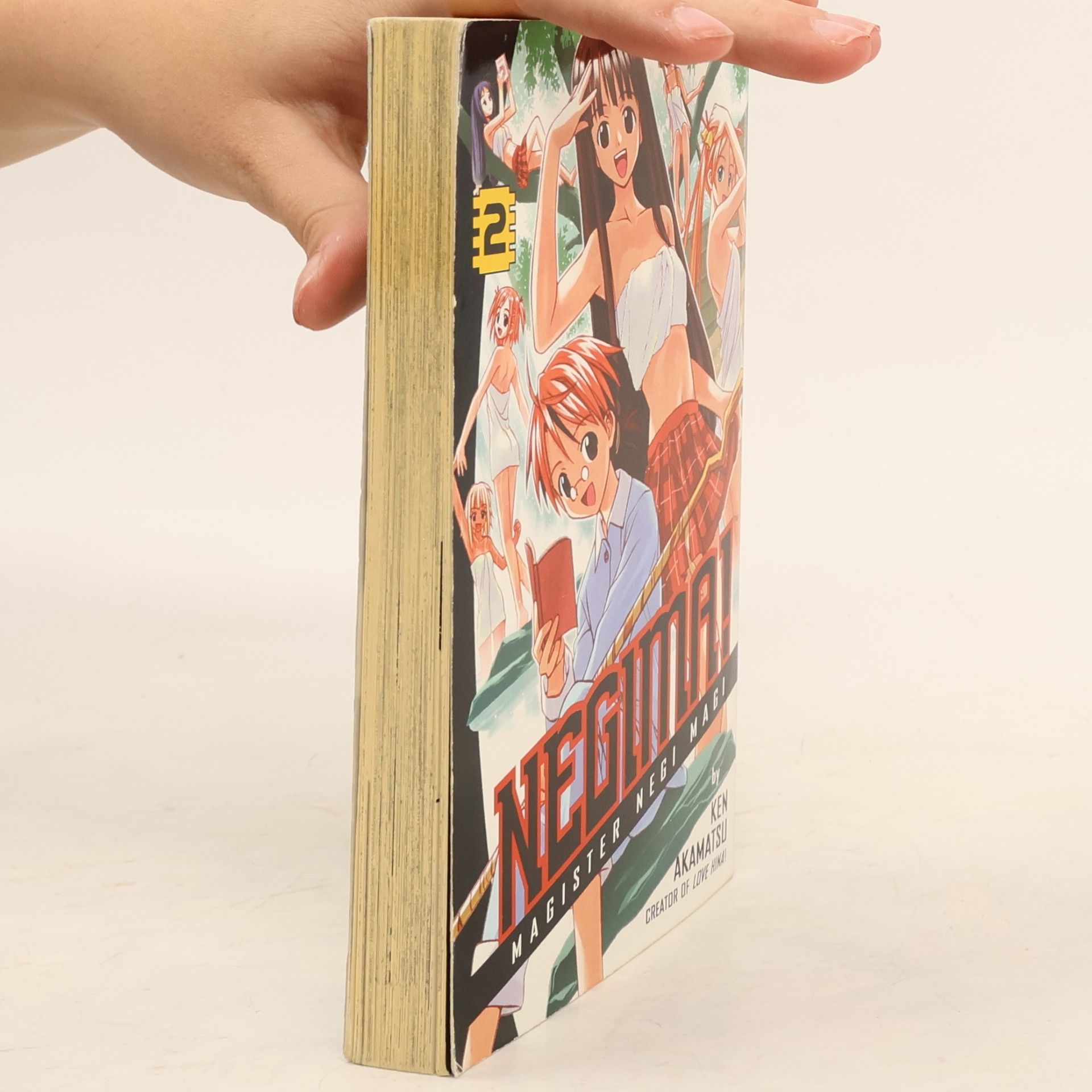 Ken Akamatsu Negima! Magister Negi Magi
