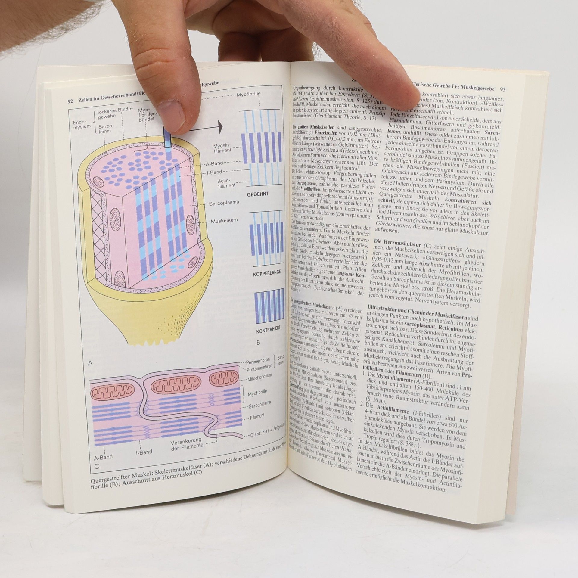 Günter Vogel dtv-Atlas zur Biologie 1
