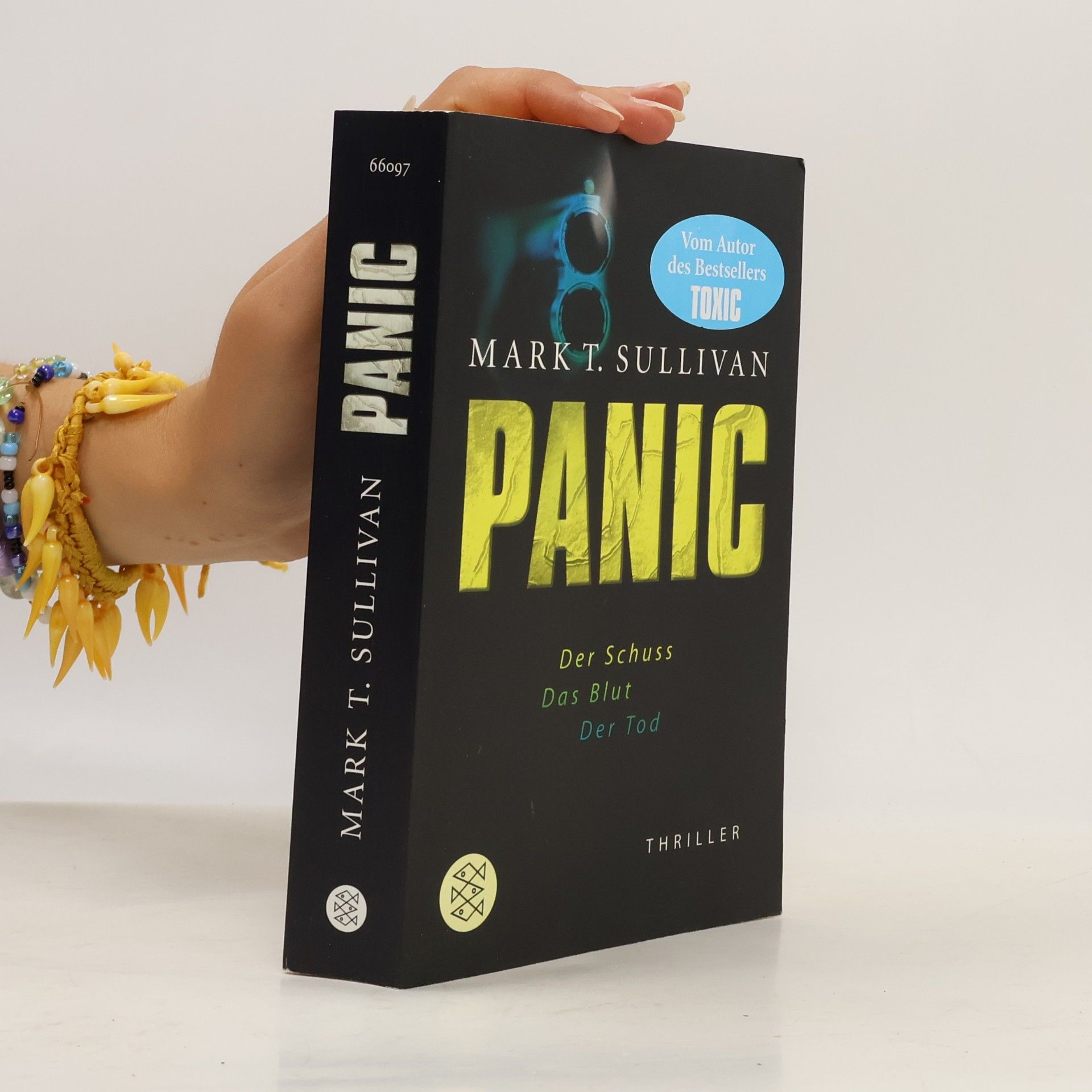 Mark T. Sullivan Panic