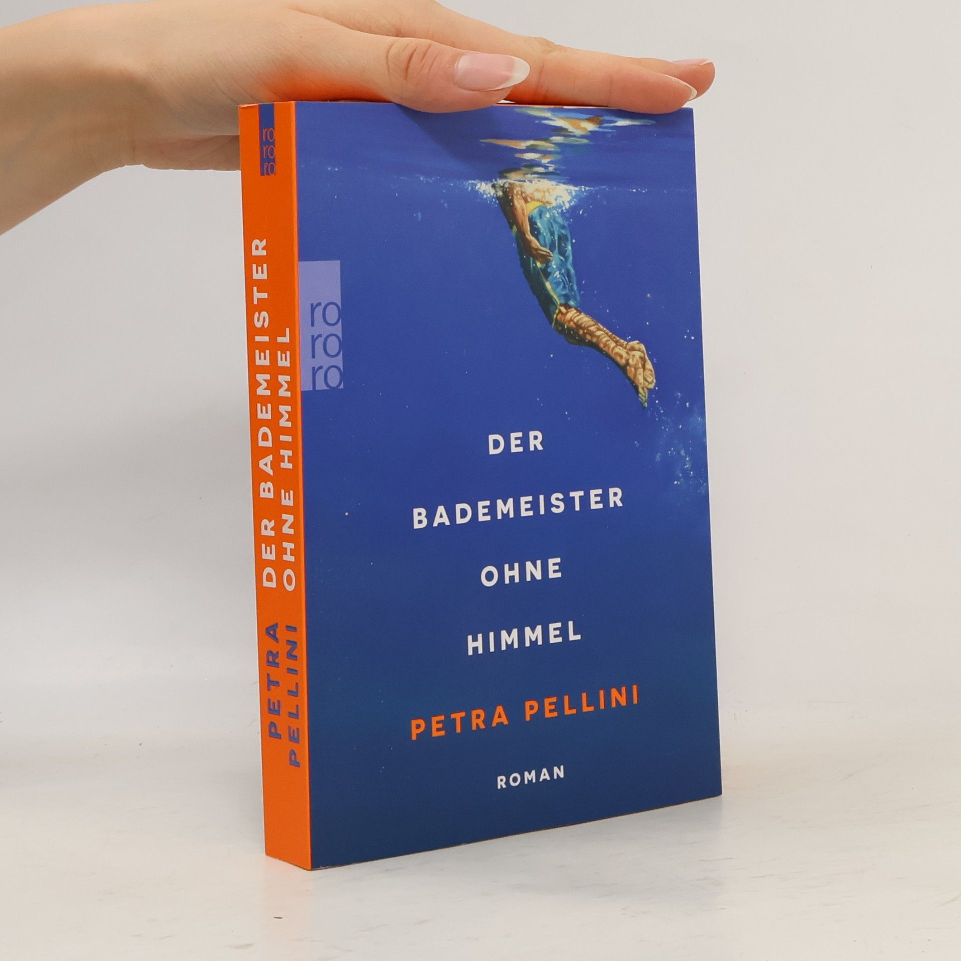 Petra Pellini Der Bademeister ohne Himmel