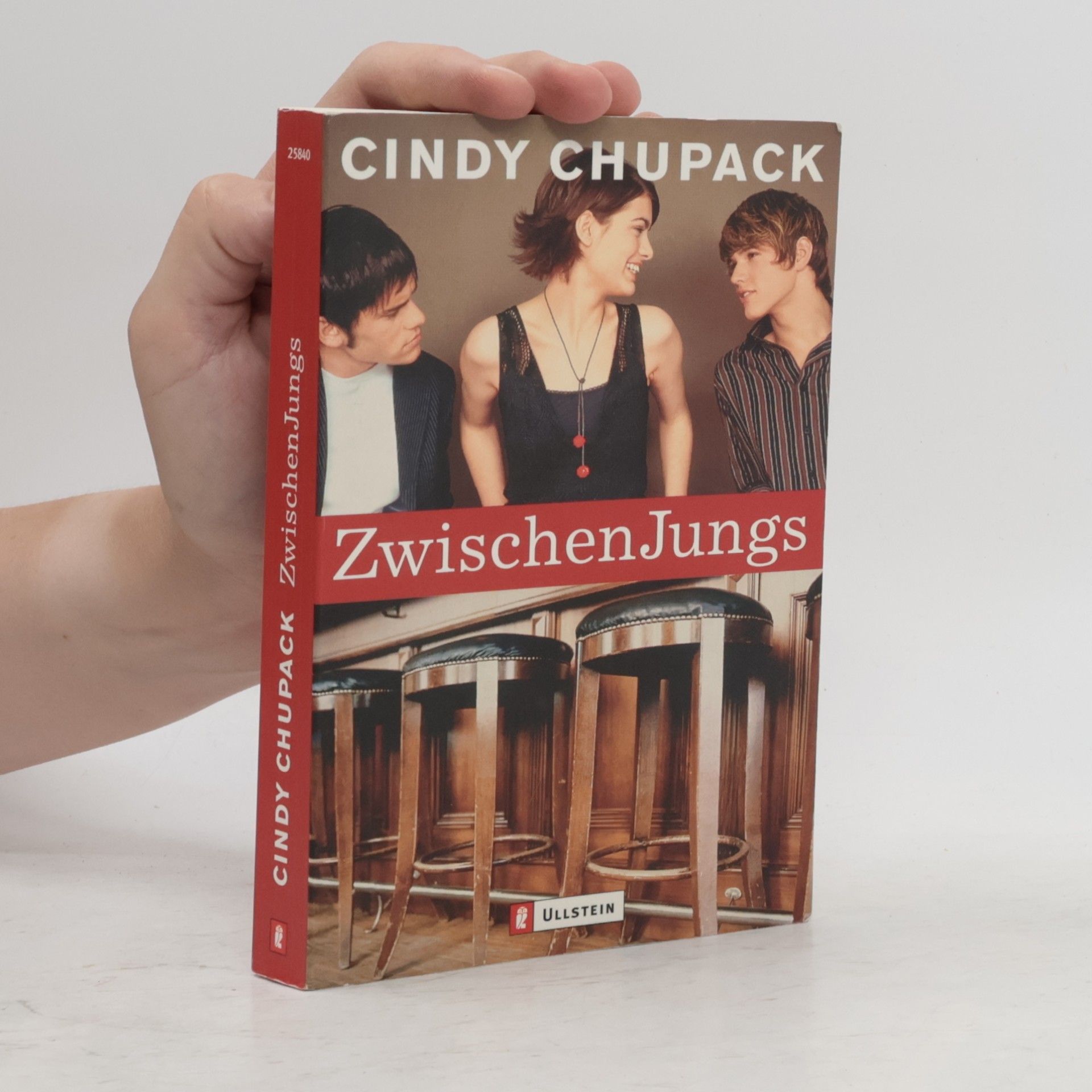 Cindy Chupack ZwischenJungs