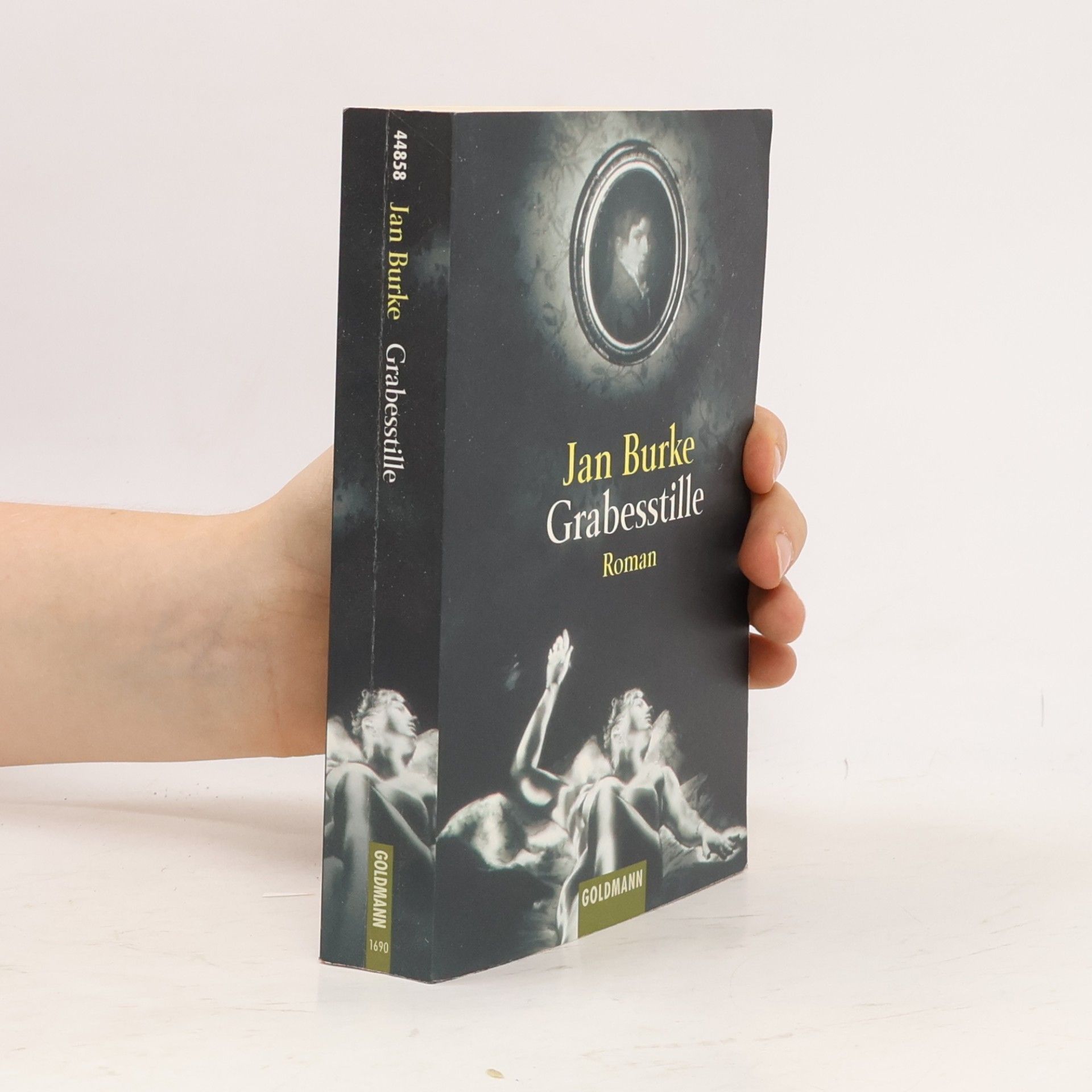 Jan Burke Grabesstille
