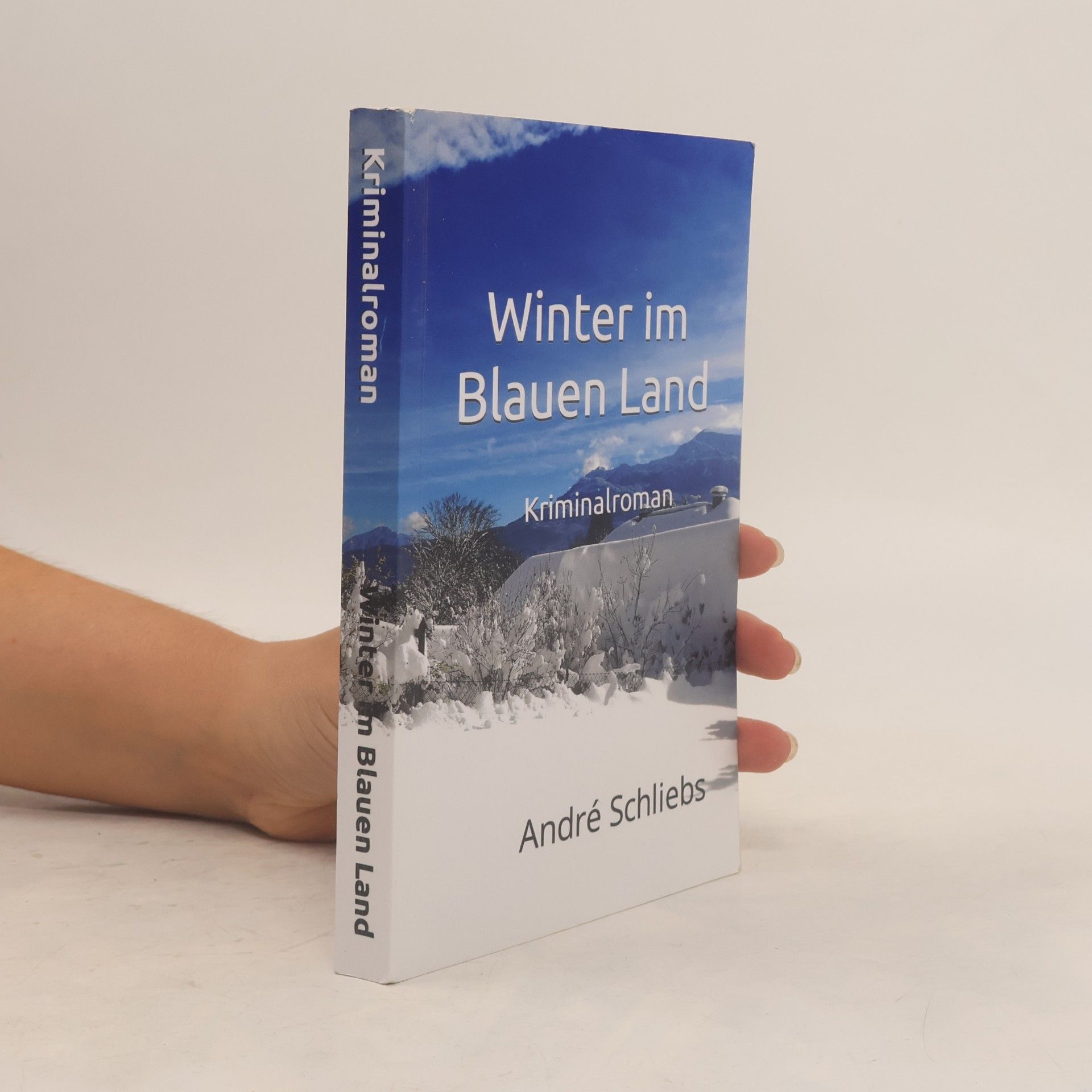 André Schliebs Winter im Blauen Land