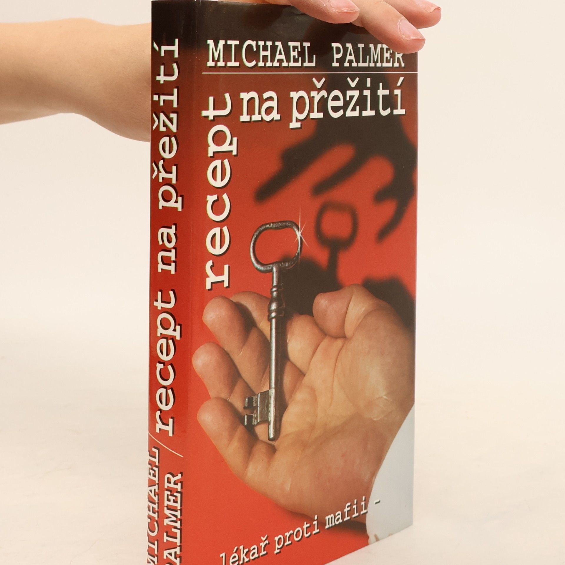 Michael Palmer Recept na přežití