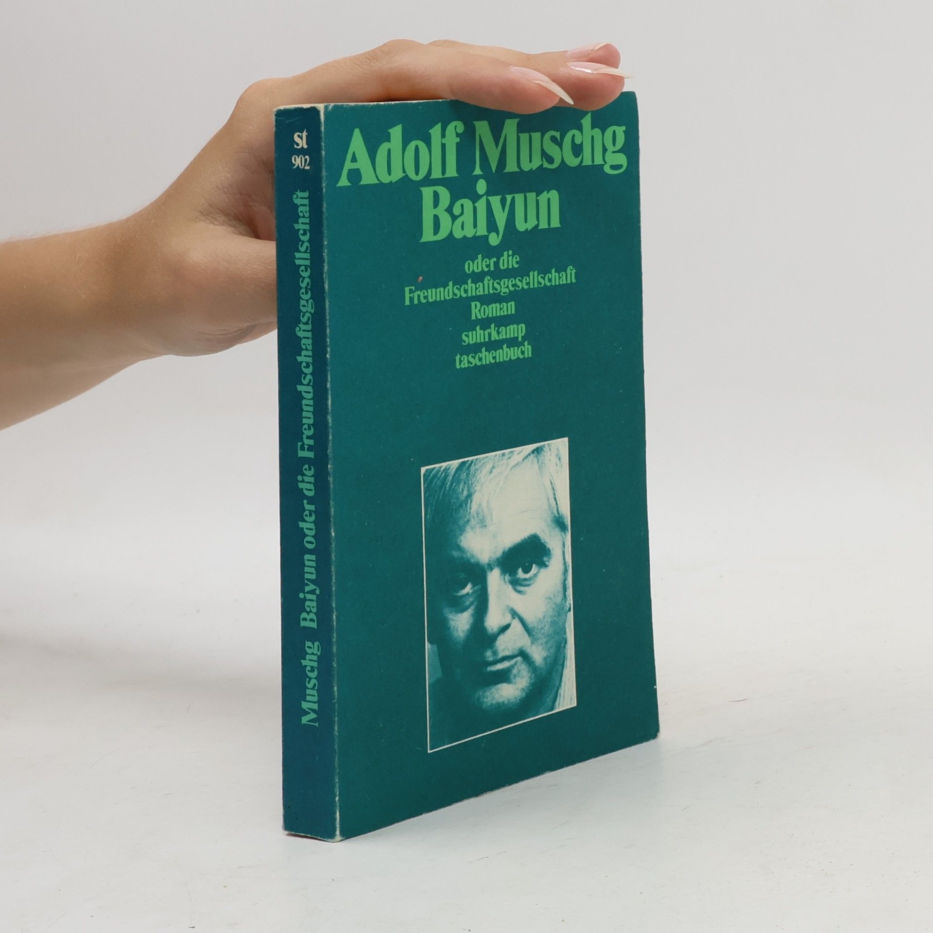 Adolf Muschg Baiyun oder die Freundschaftsgesellschaft