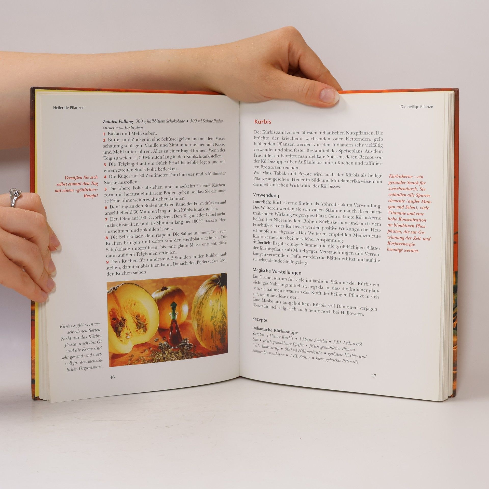 Doris Iding Praxisbuch indianische Medizin: Körper und Seele ganzheitlich behandeln mit Heilpflanzen, Atemübungen, Schwitzhütten und dem indianischen Medizinrad