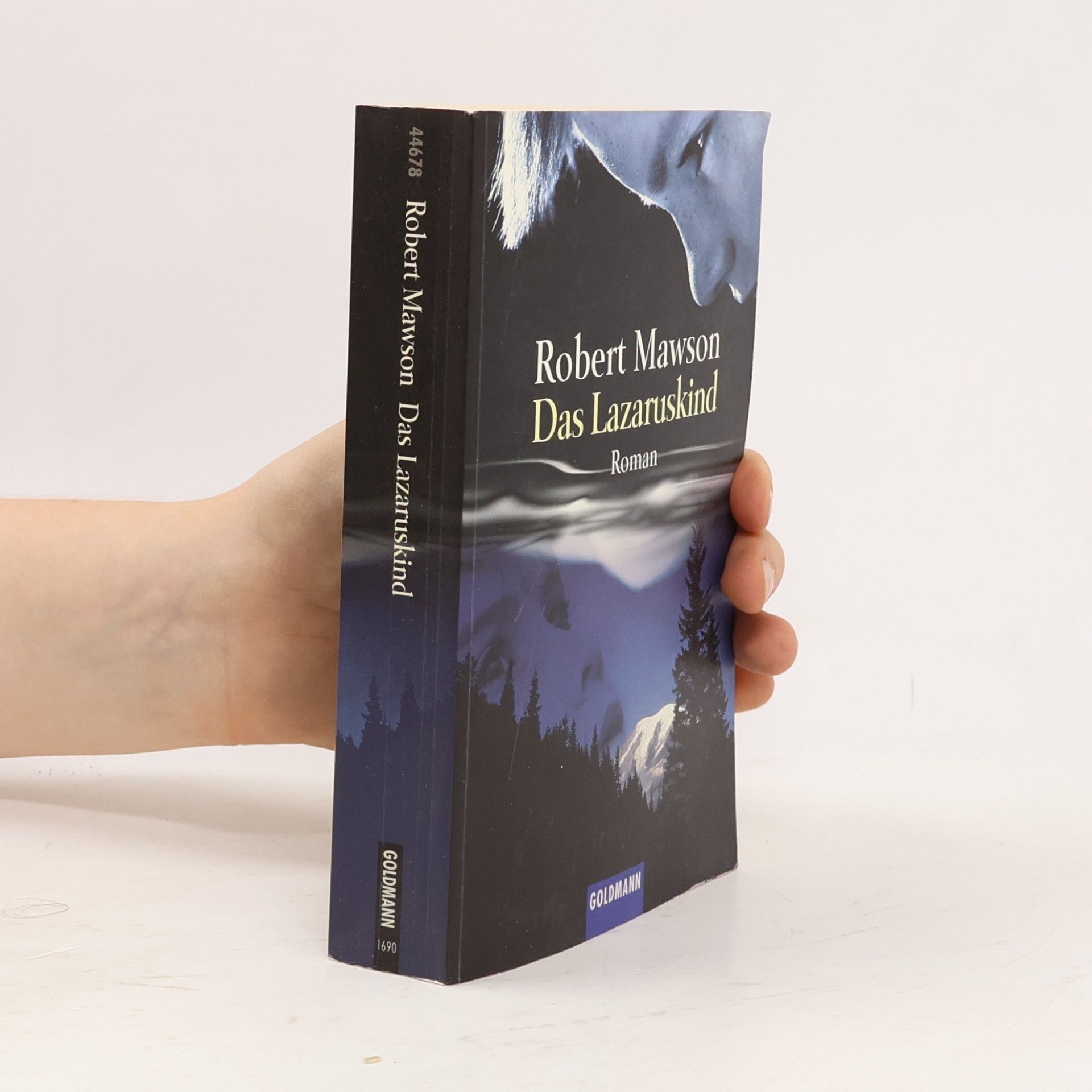 Robert Mawson Das Lazaruskind