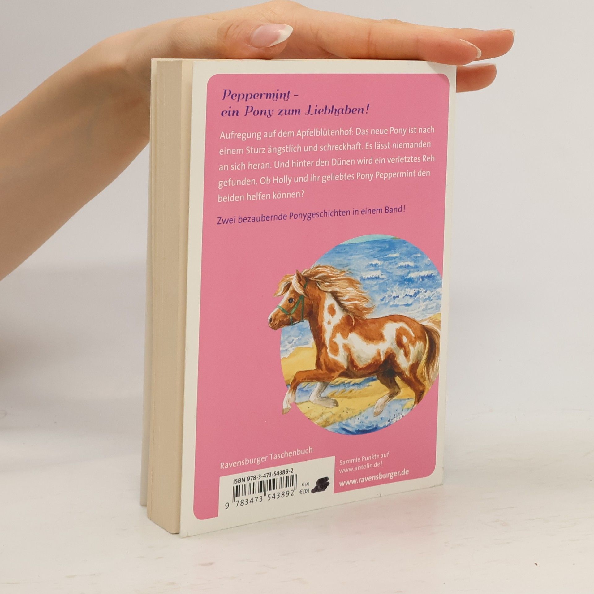 Daniela Stern Das liebste Pony der Welt