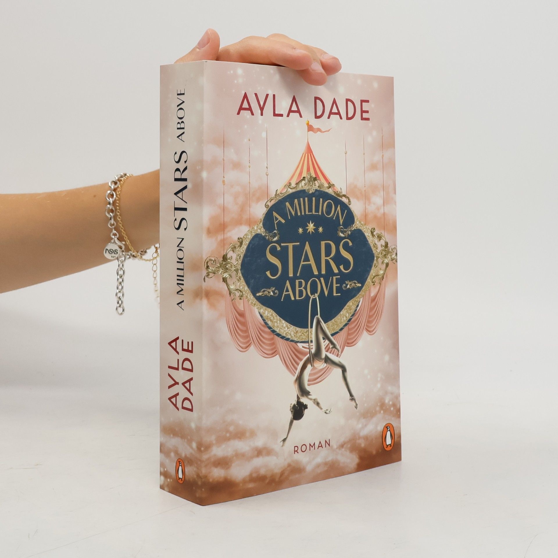 Ayla Dade A Million Stars Above / Sky Circus Bd.1