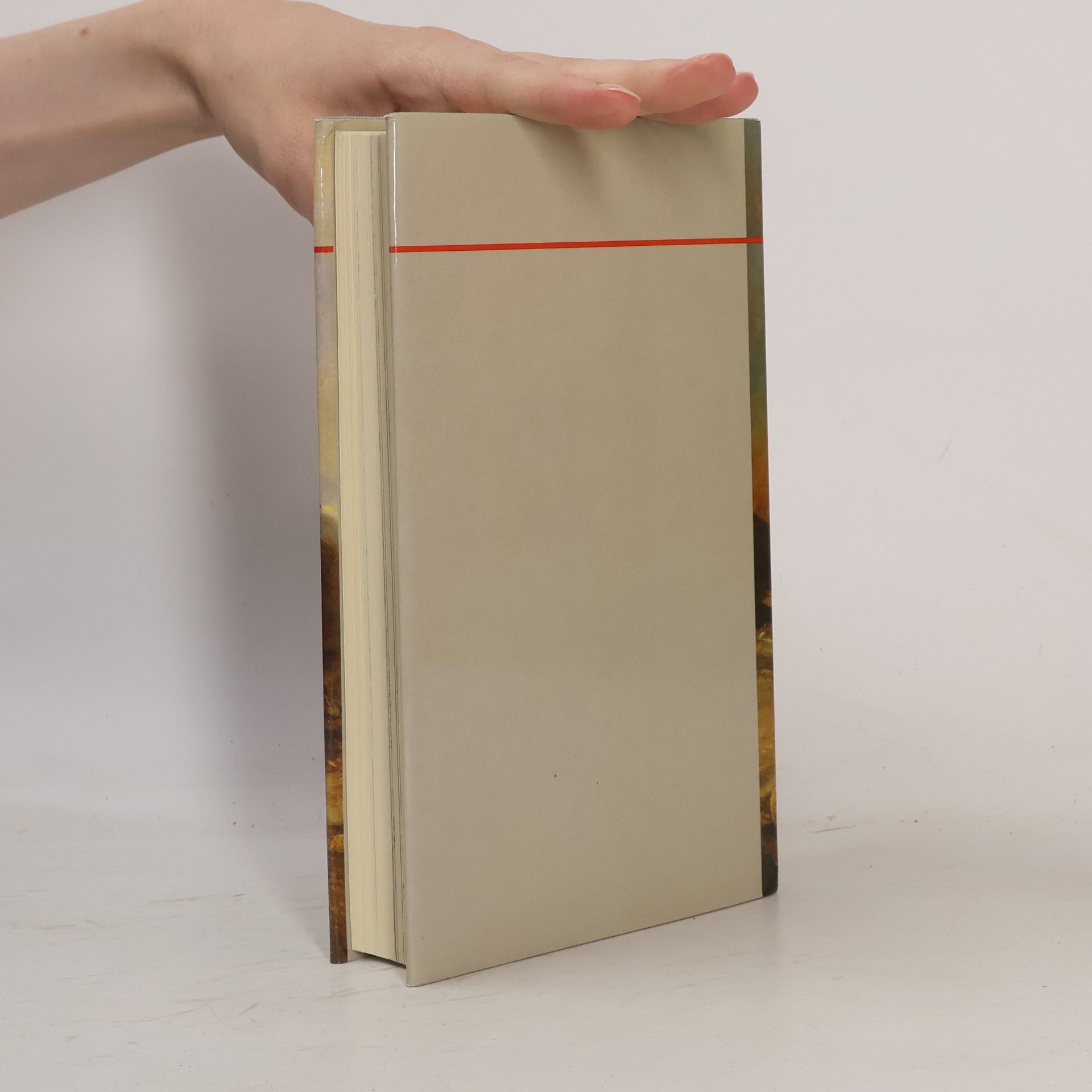 Alexandre Dumas starší Rußlandreise. Kaukasische Fahrt
