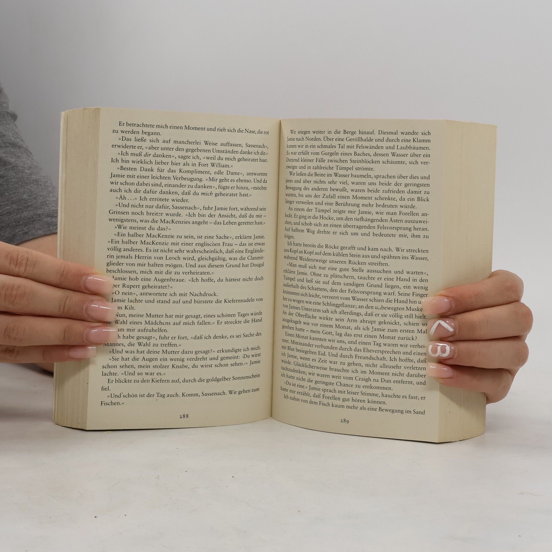 Diana Gabaldon Feuer und Stein