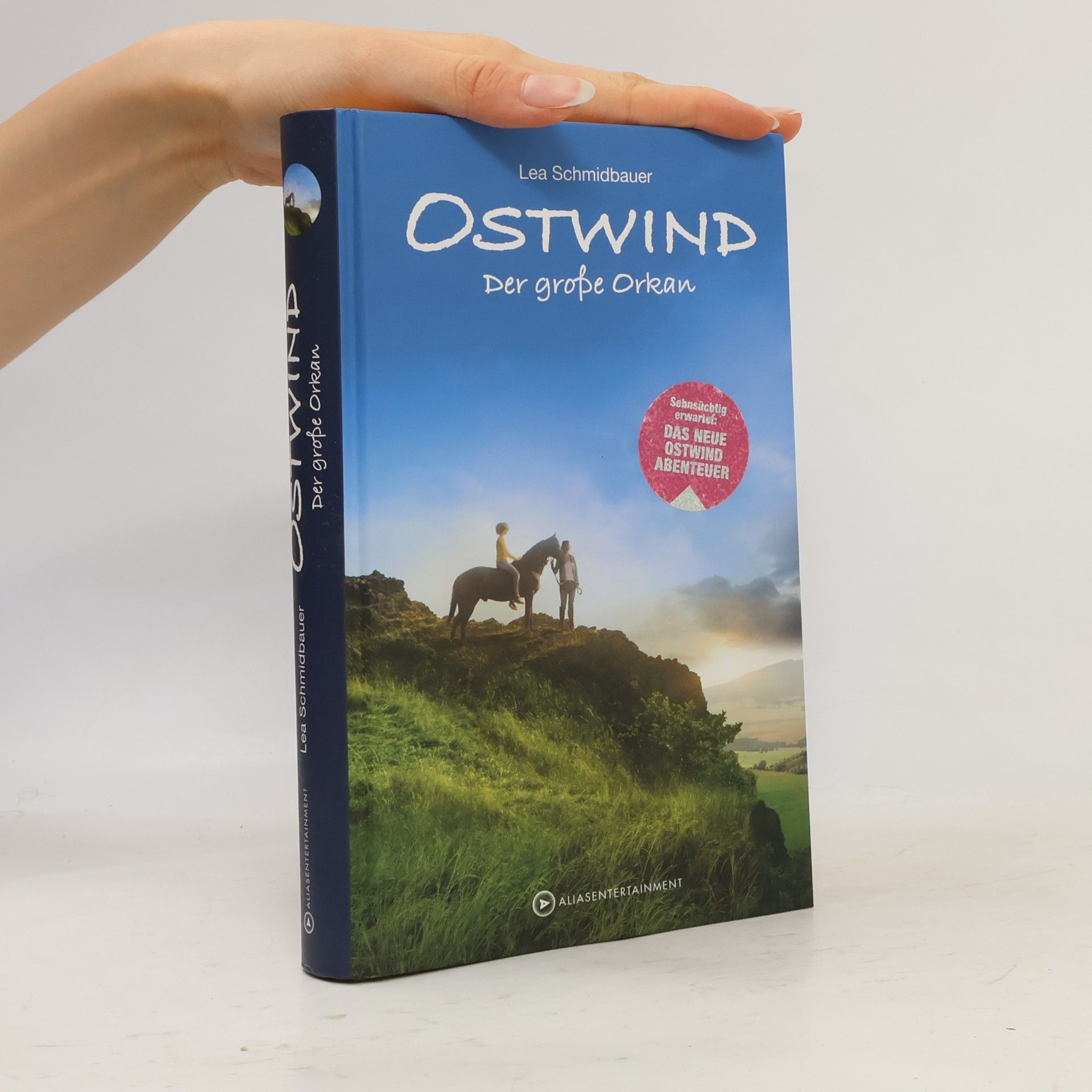 Ostwind. Der große Orkan