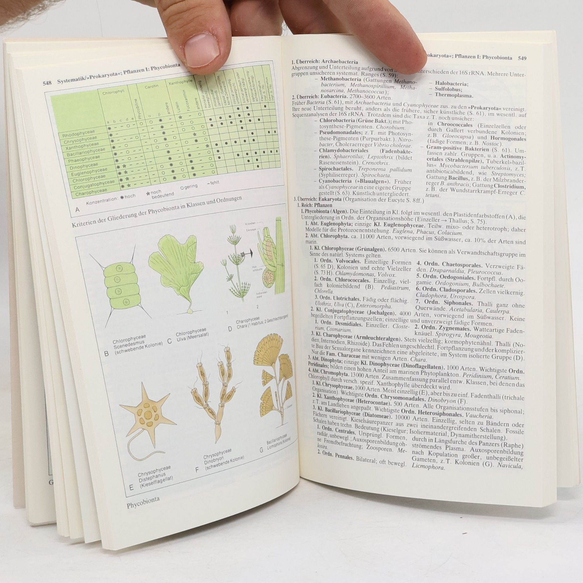 Günter Vogel dtv-Atlas zur Biologie 3