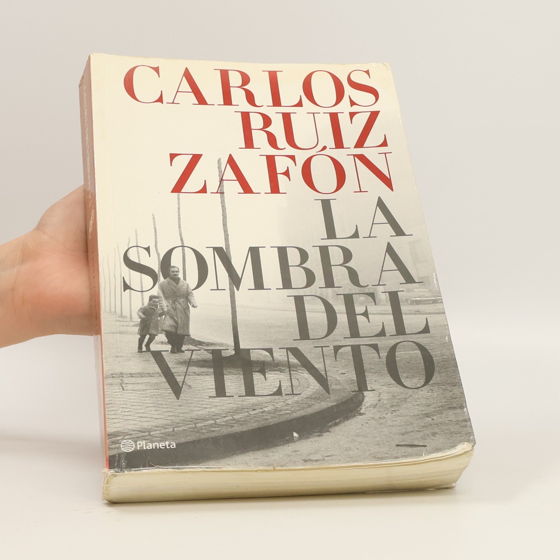 Carlos Ruiz Safon La sombra del viento