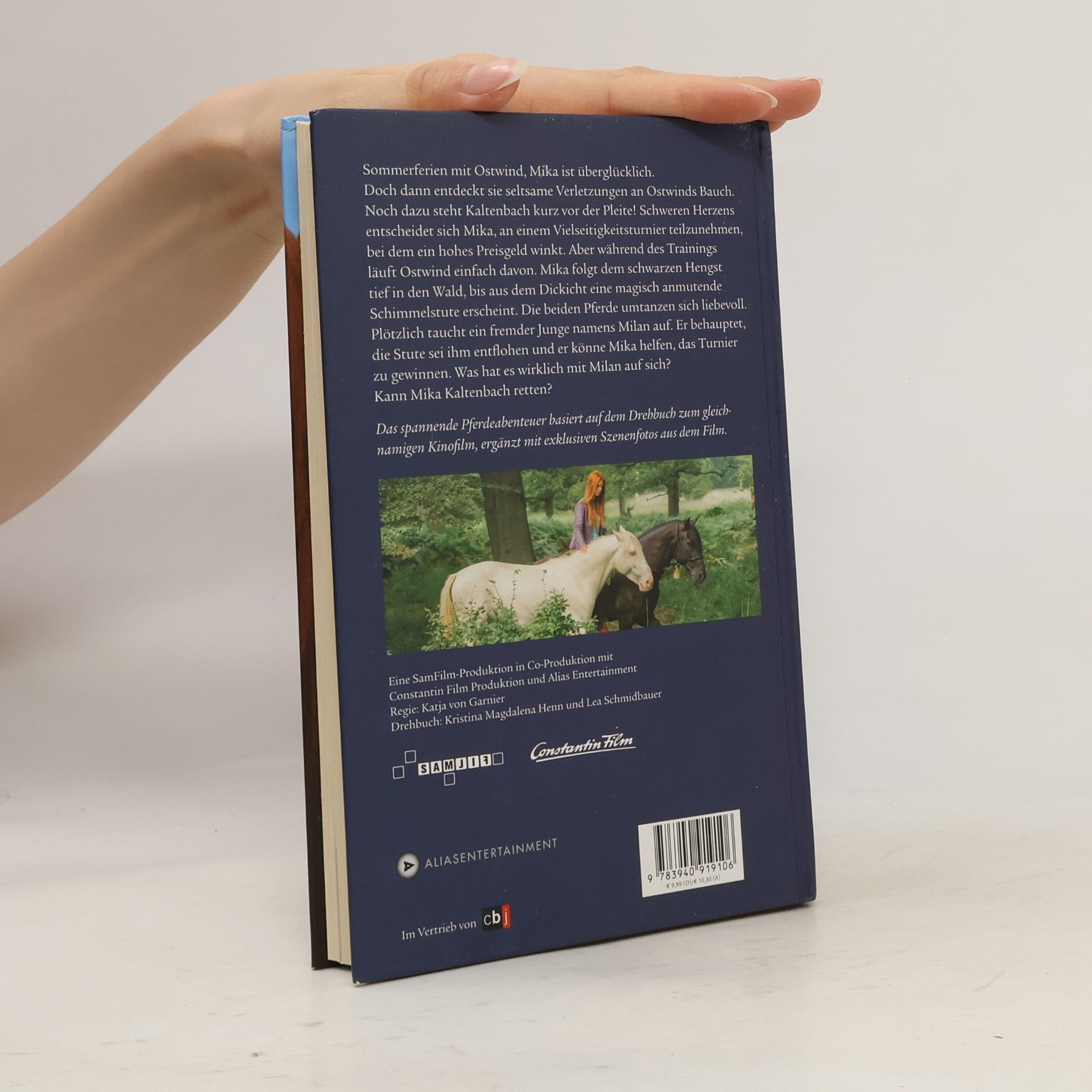 Kristina Magdalena Henn Ostwind 2 - Das Buch zum Film