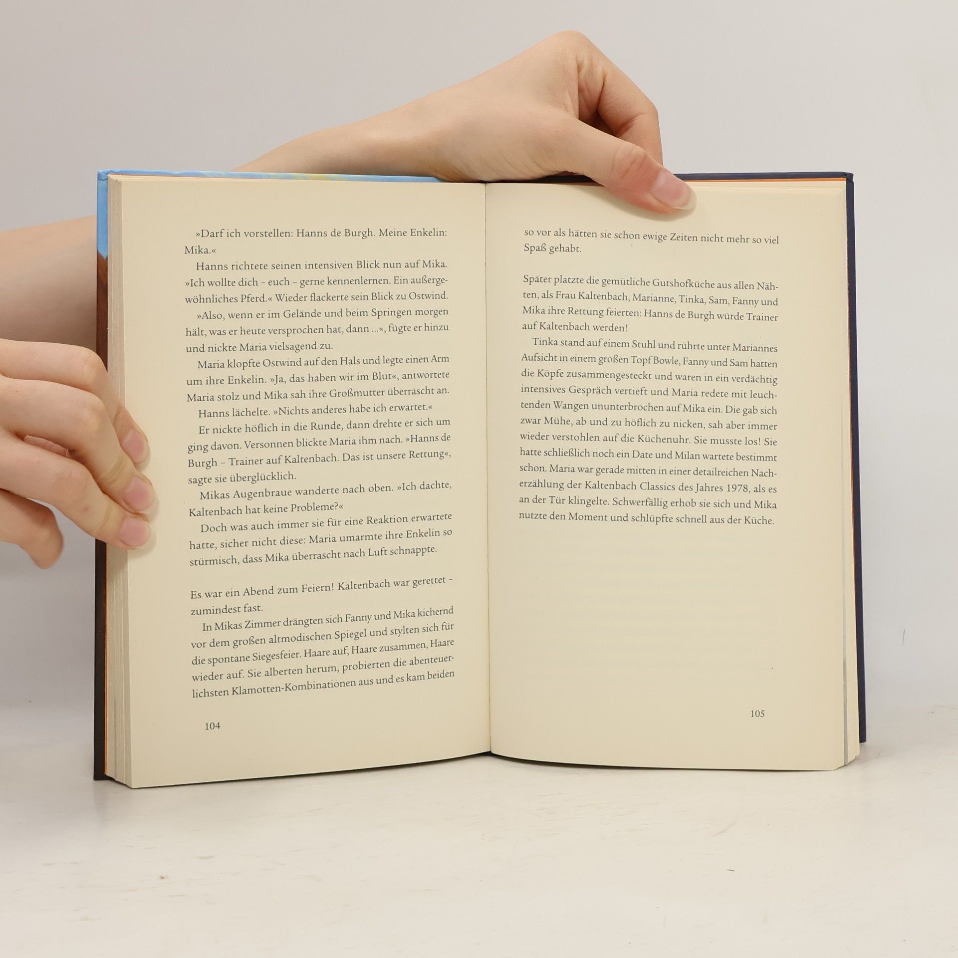 Kristina Magdalena Henn Ostwind 2 - Das Buch zum Film