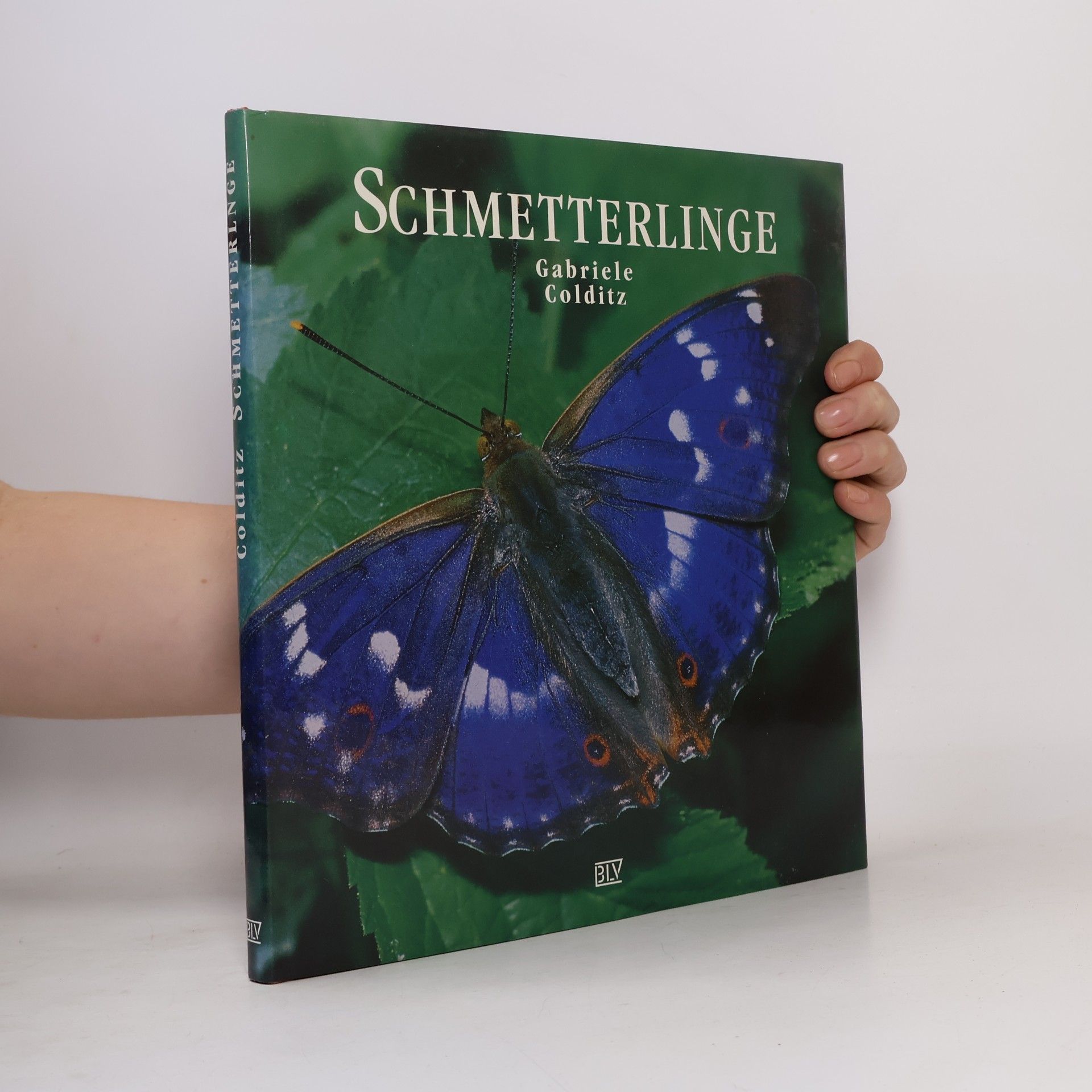 Gabriele Lehari Schmetterlinge