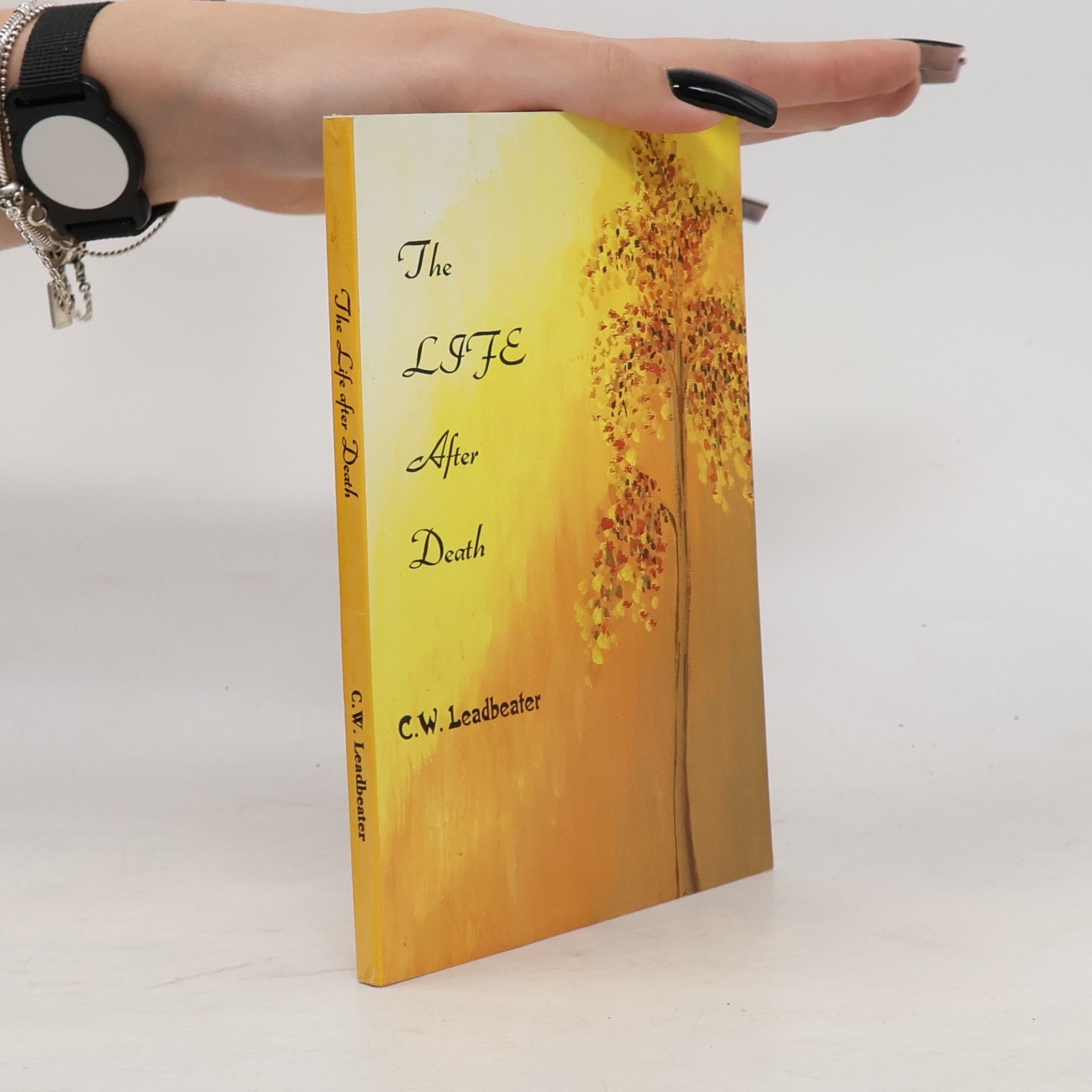 Charles Leadbeater The Life After Death