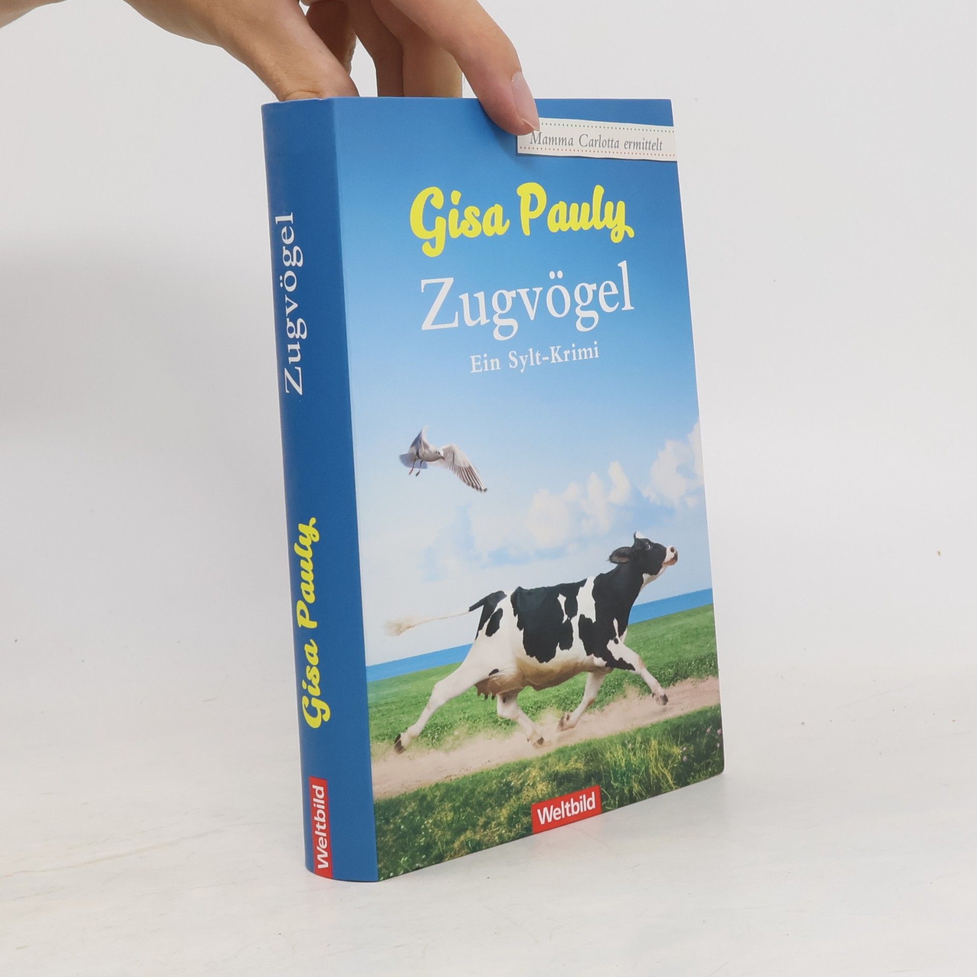 Gisela Pauly Zugvögel