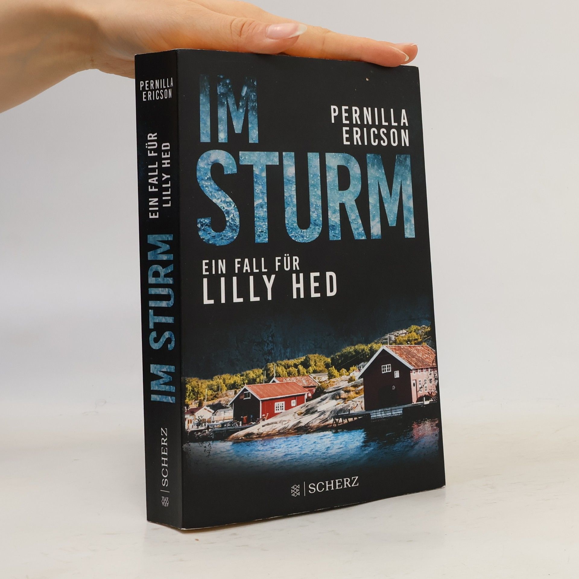 Pernilla Ericson Im Sturm