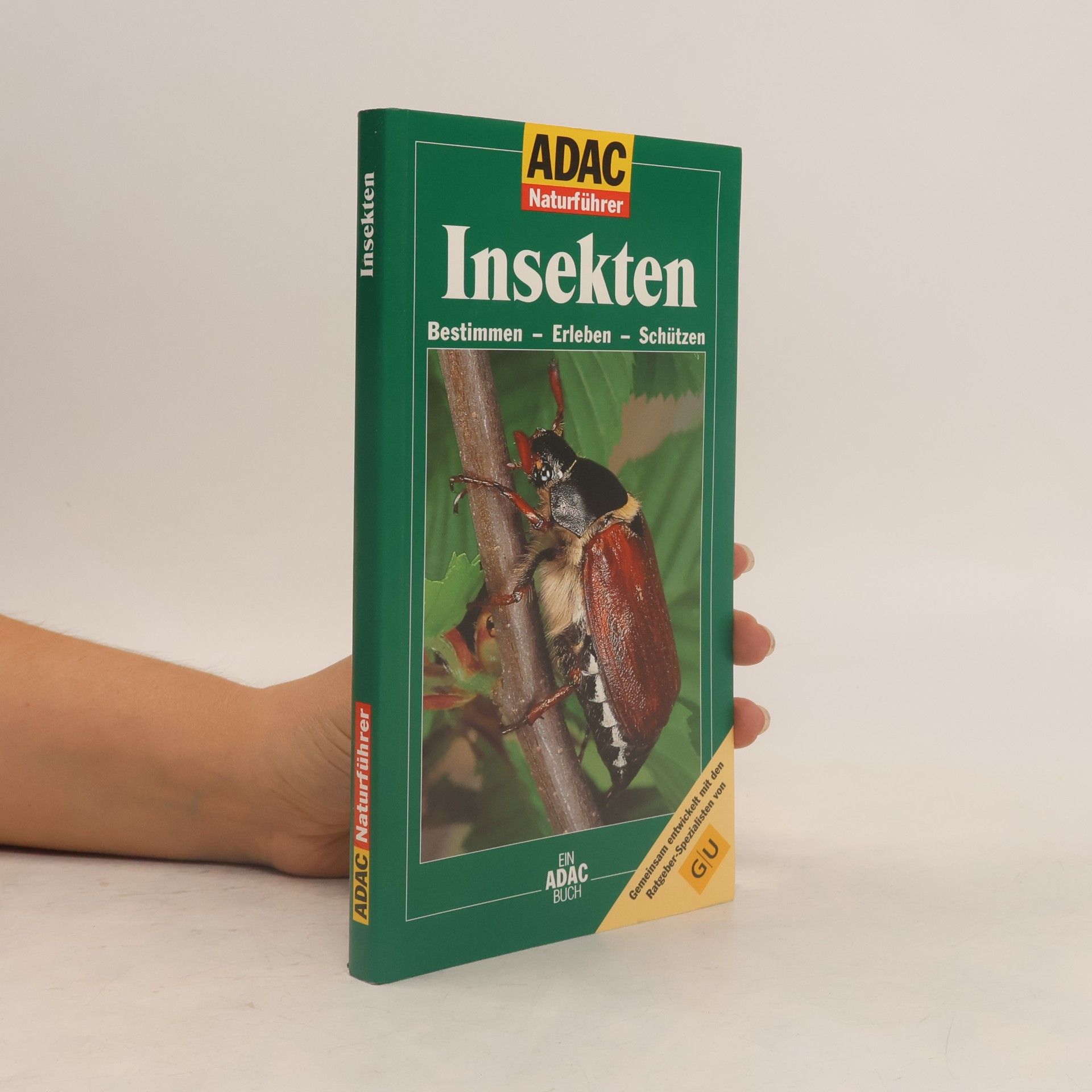 Helga Hofmann Insekten