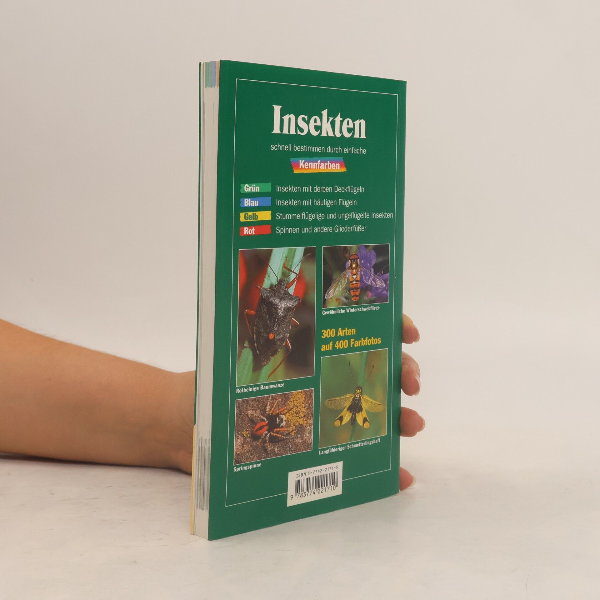 Helga Hofmann Insekten