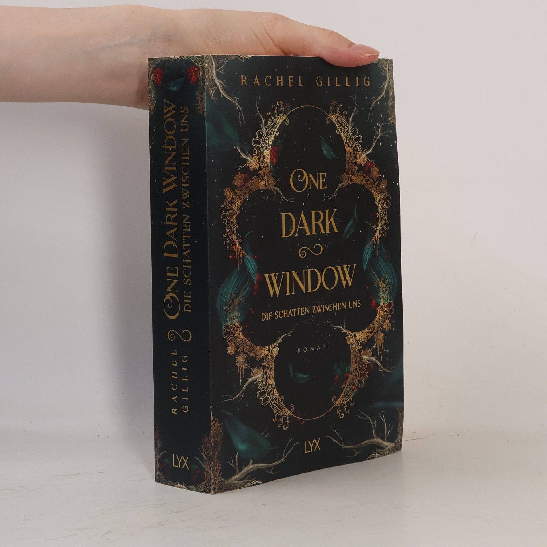 Rachel Gillig One Dark Window - Die Schatten zwischen uns