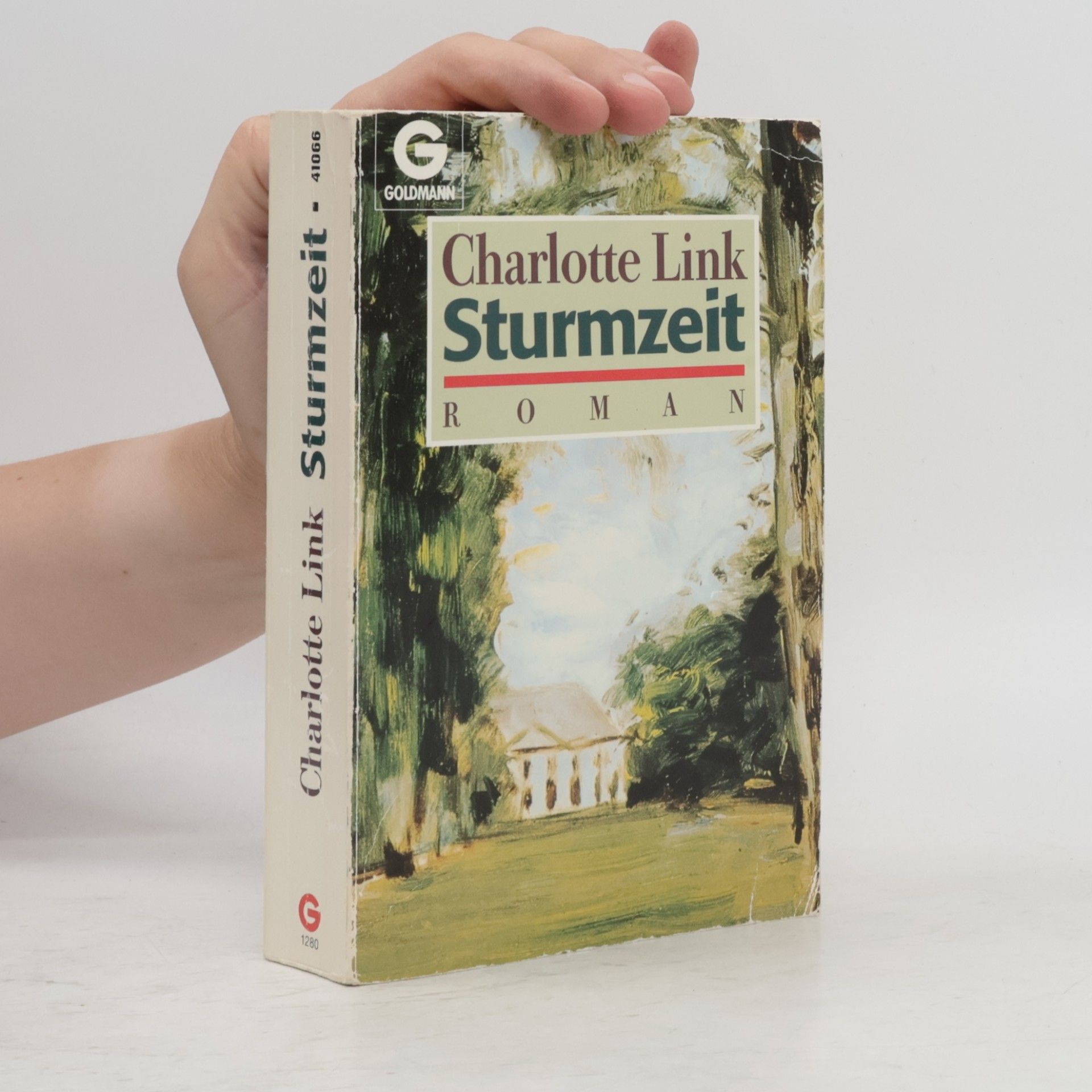 Charlotte Link Sturmzeit