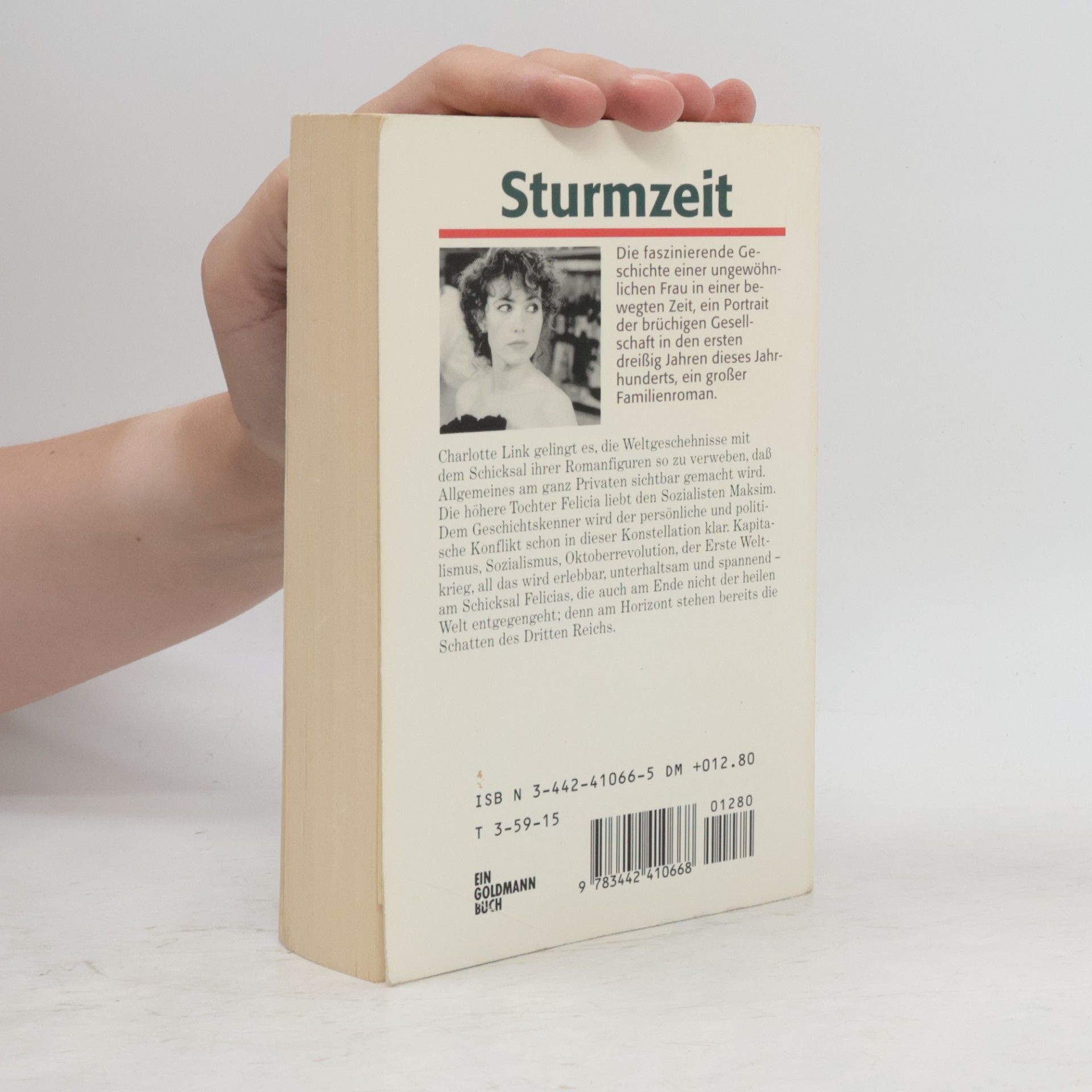 Charlotte Link Sturmzeit