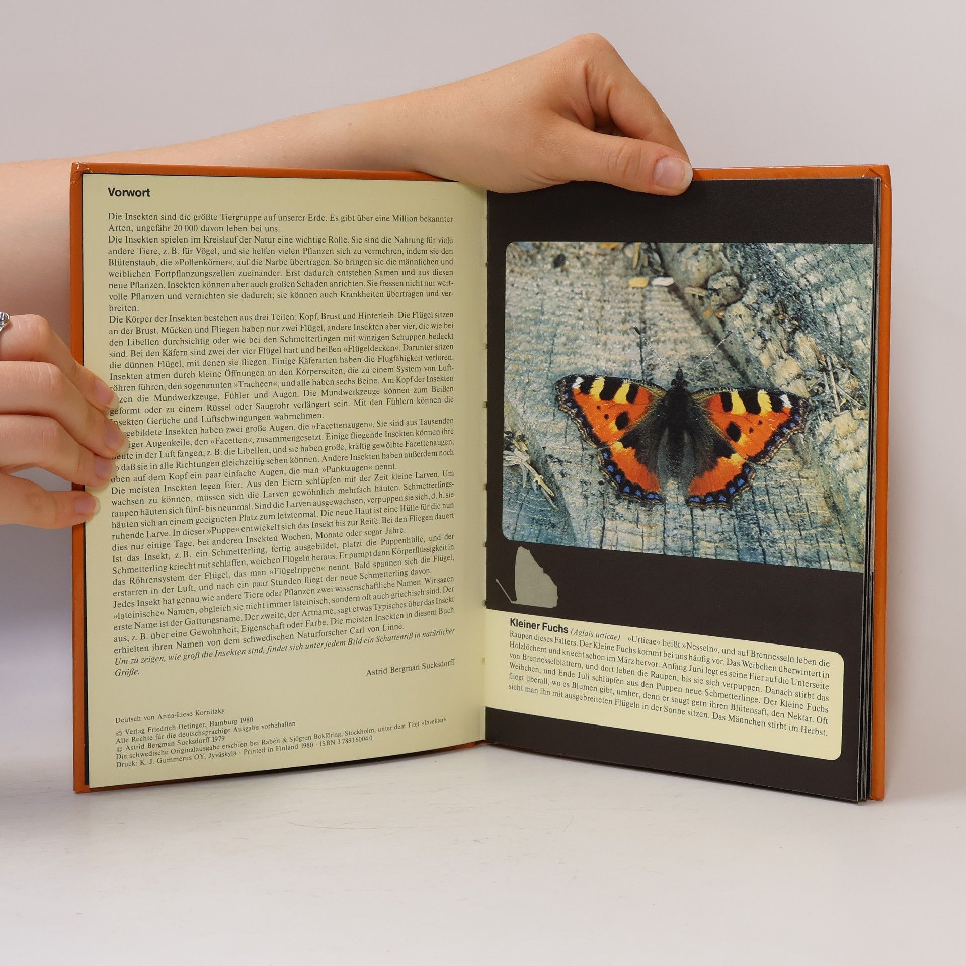 Astrid Bergman Sucksdorff Oetinger-Naturbücher: Insekten