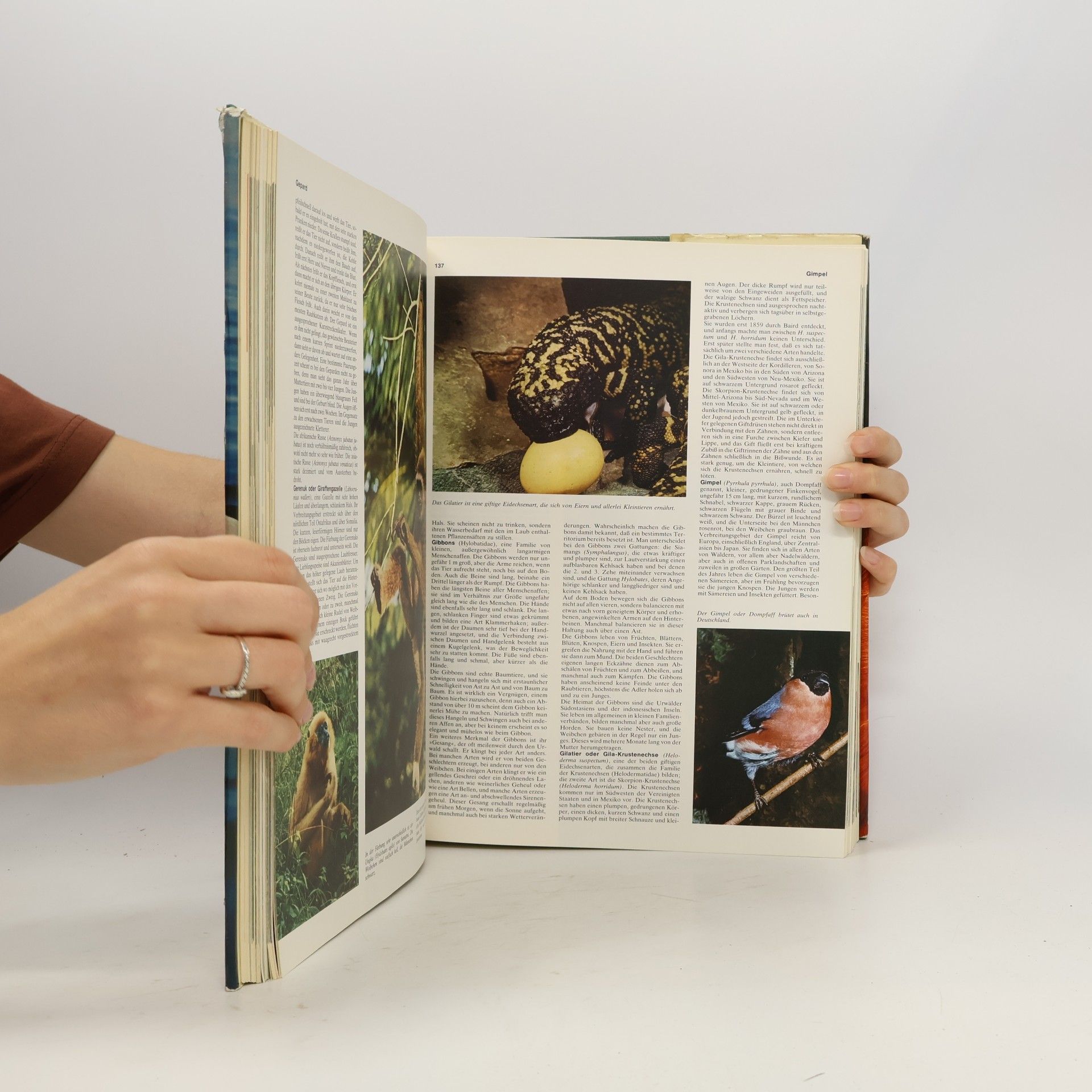 Various authors Das große farbige Tierlexikon