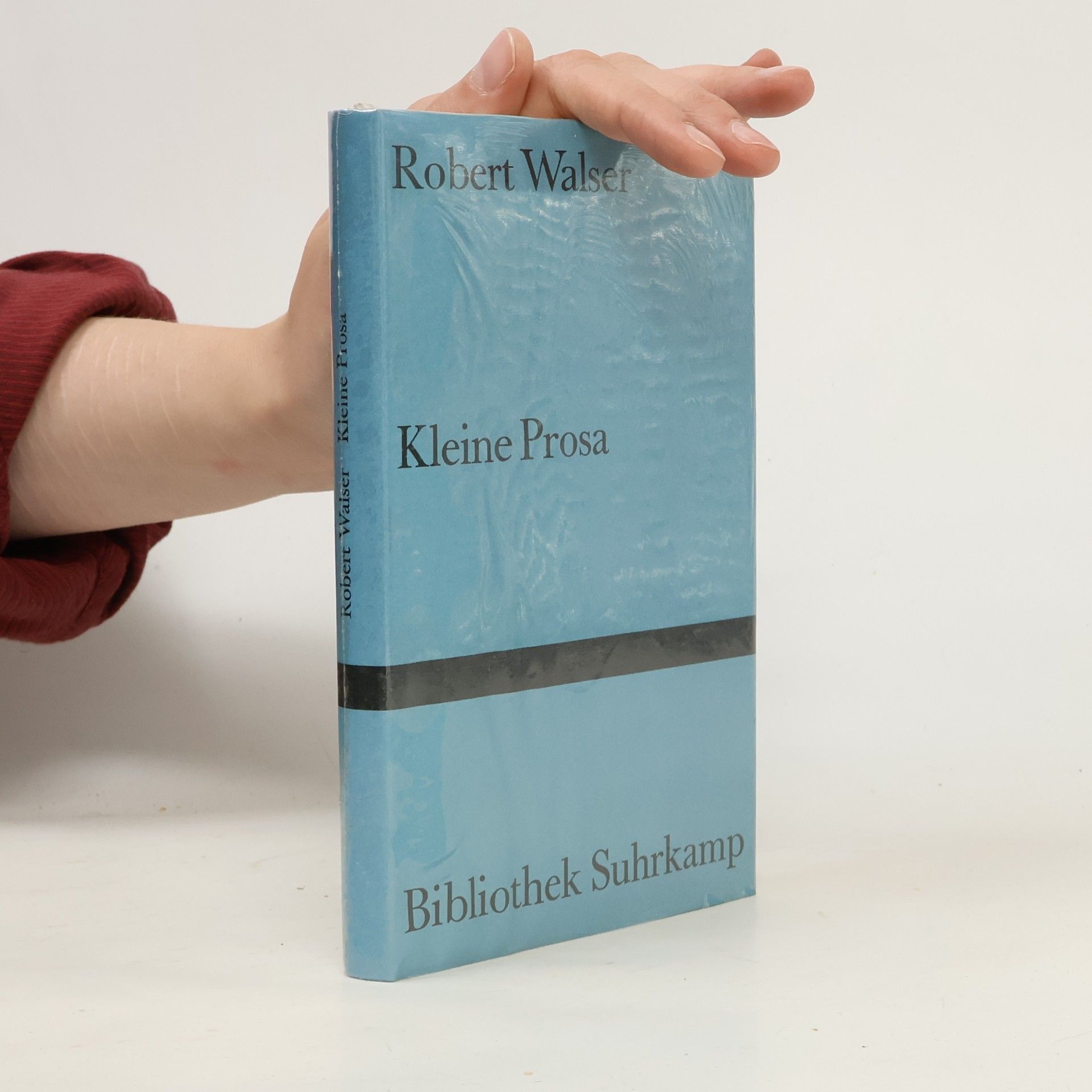 Kleine Prosa