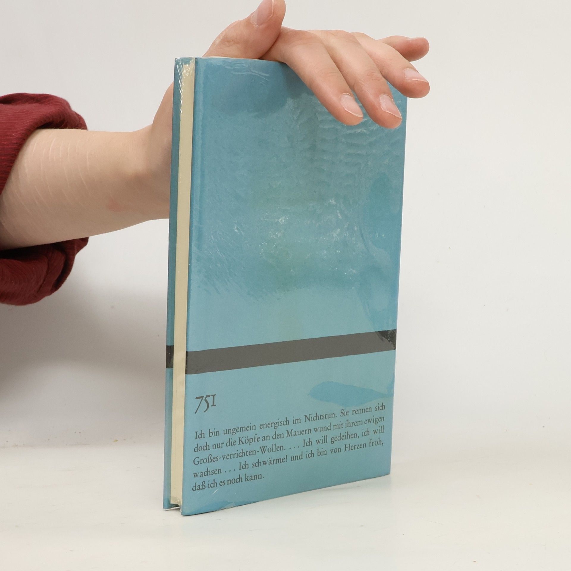 Robert Walser Kleine Prosa