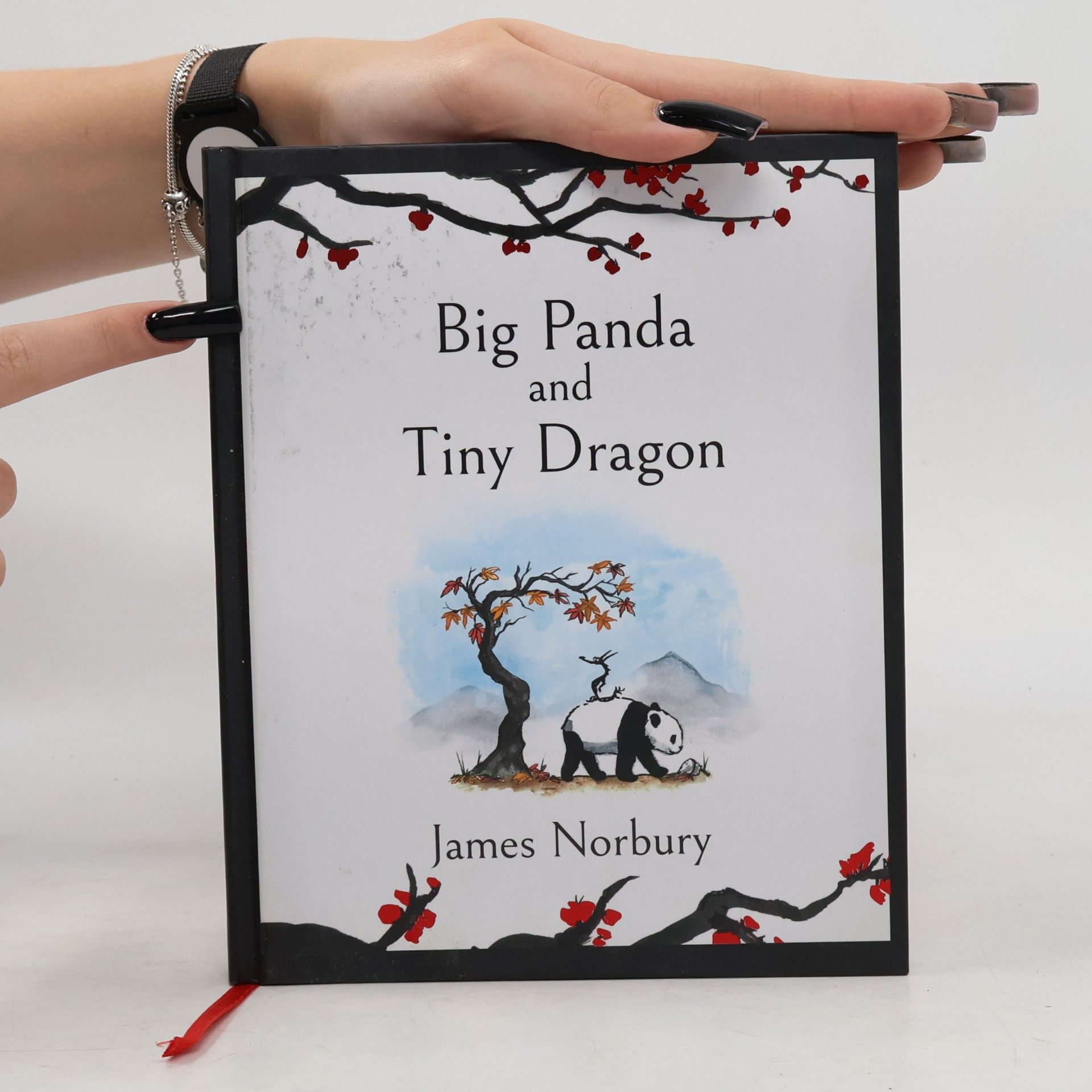 James Norbury Big Panda and Tiny Dragon