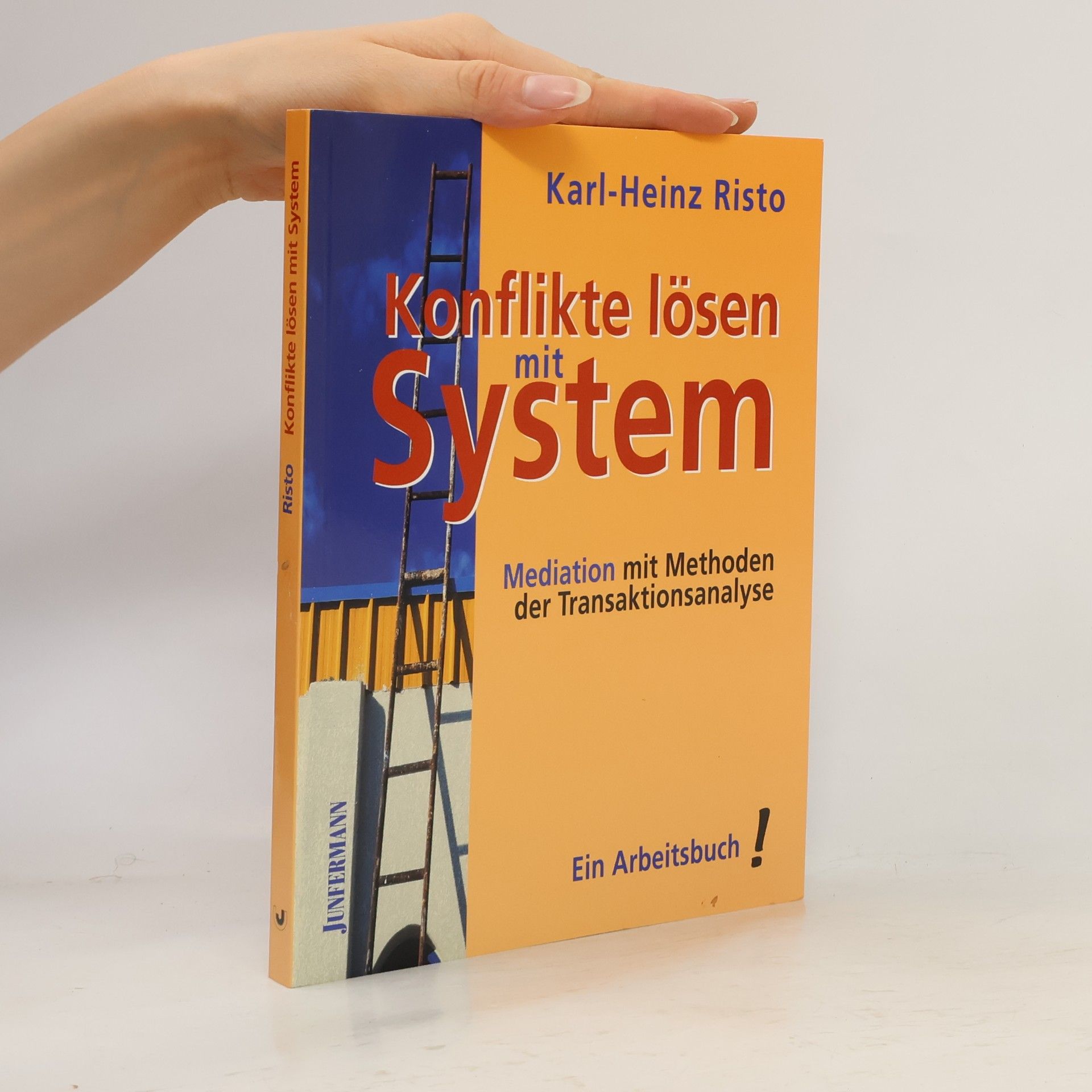 Karl Heinz Risto Konflikte lösen mit System