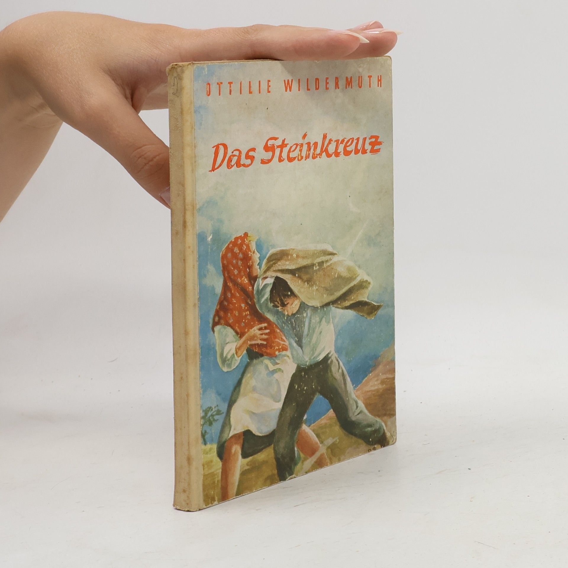 Ottilie Wildermuth Das Steinkreuz