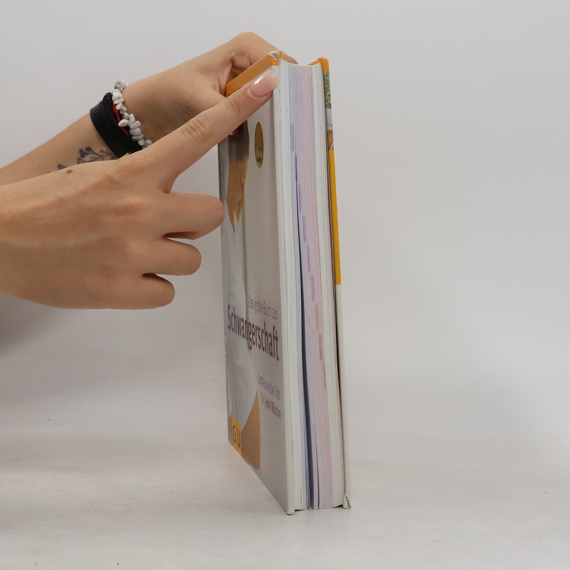 Annette Nolden-Thommen Das große Buch zur Schwangerschaft