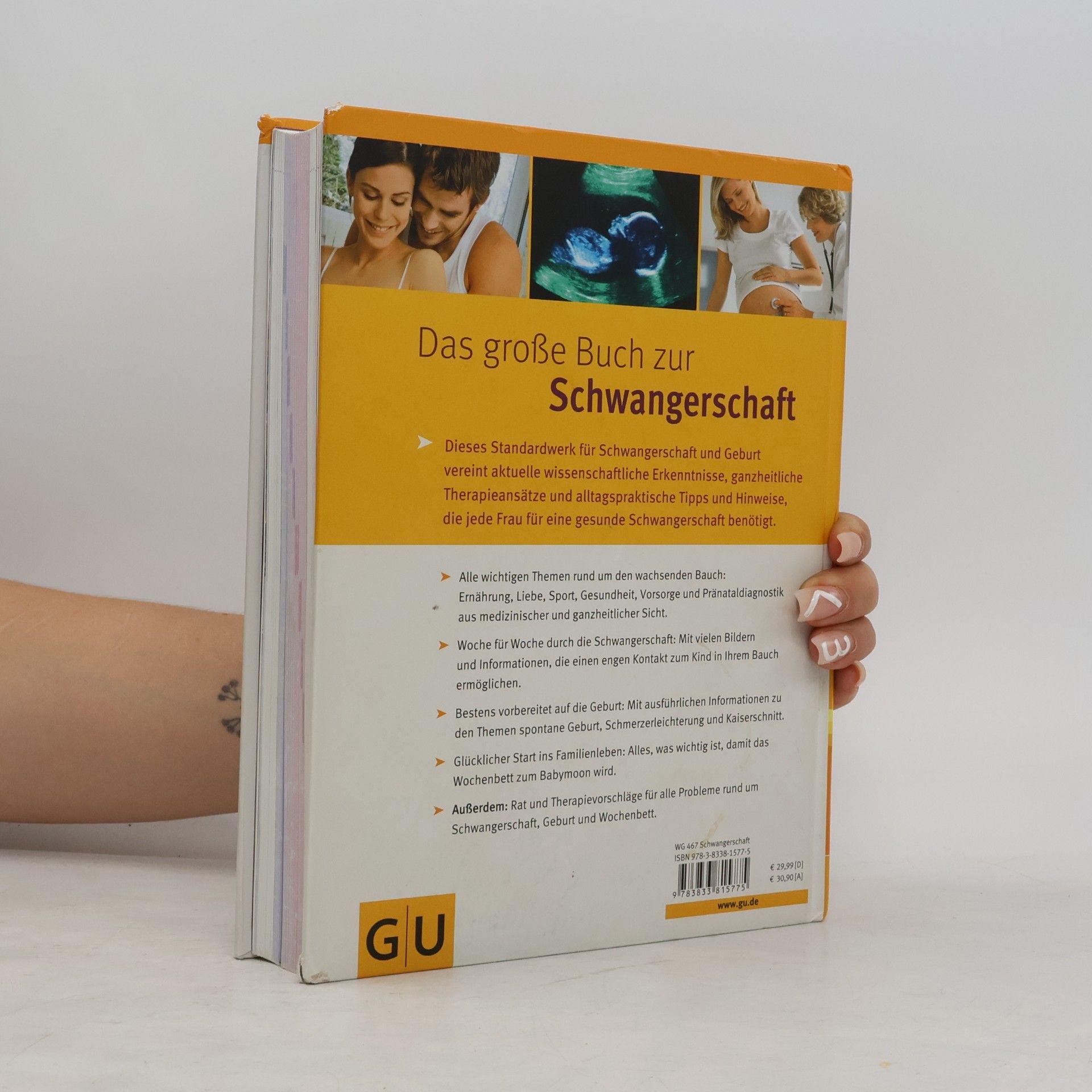 Annette Nolden-Thommen Das große Buch zur Schwangerschaft