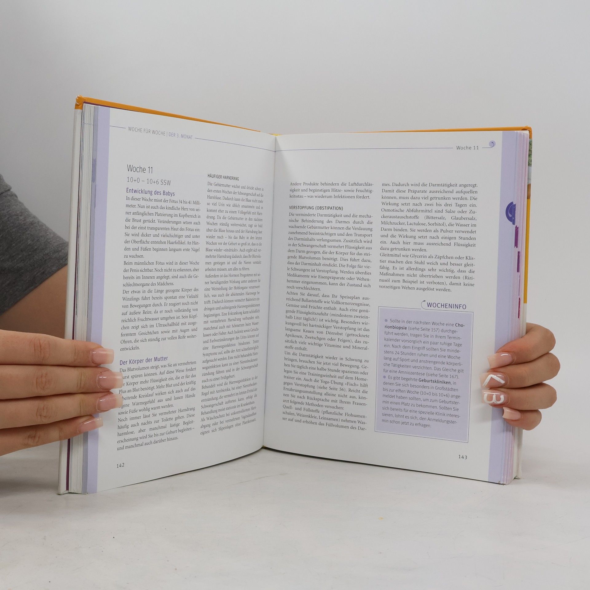 Annette Nolden-Thommen Das große Buch zur Schwangerschaft