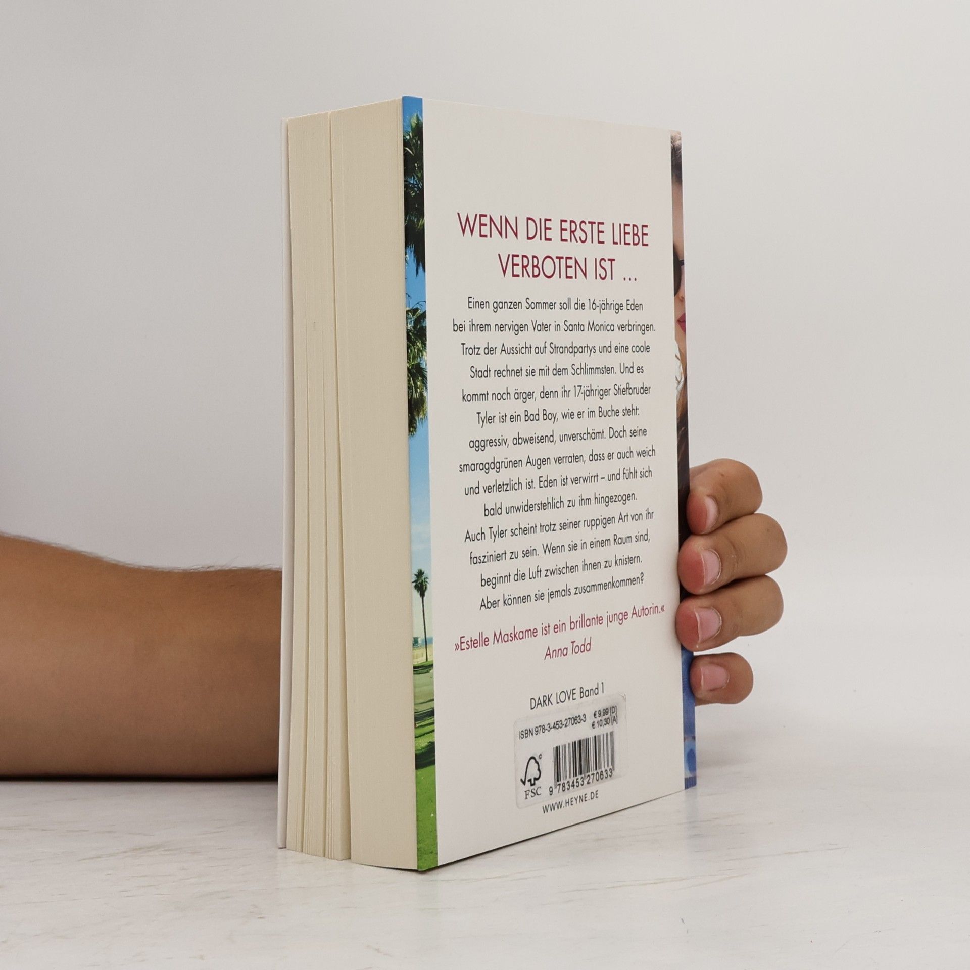 Estelle Maskame Dark Love: Dich darf ich nicht lieben