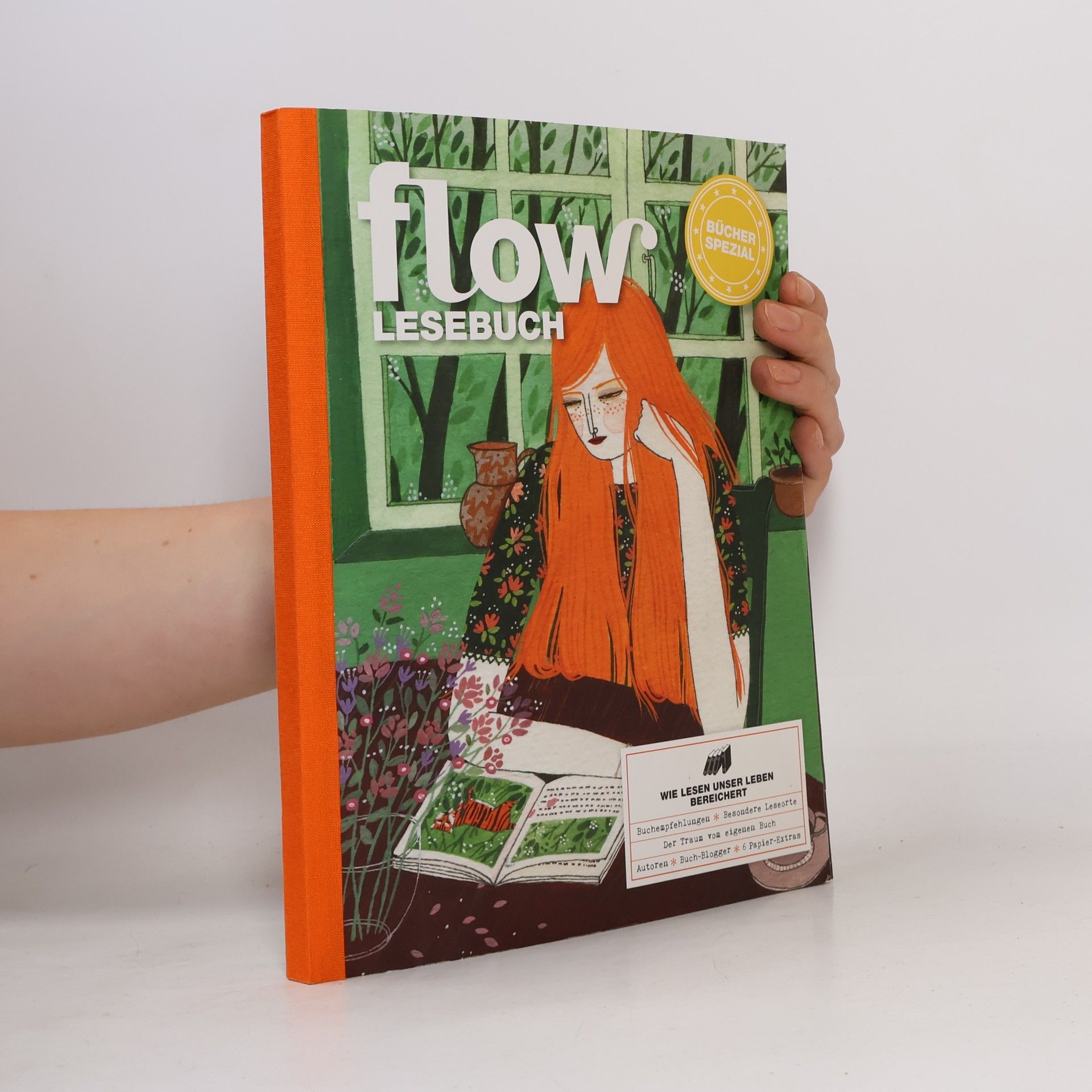 Autorenkollektiv Flow Lesebuch 2016