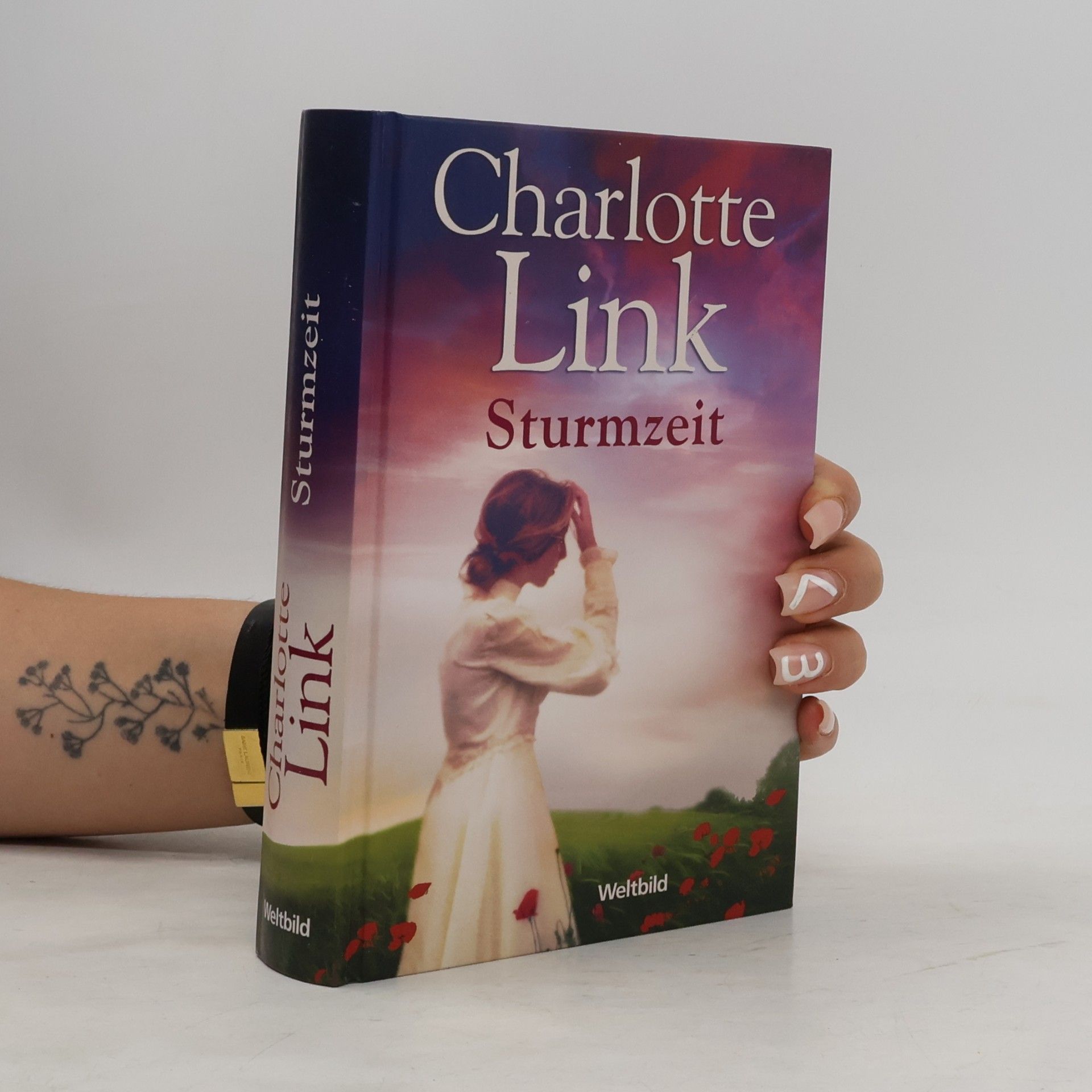 Charlotte Link Sturmzeit