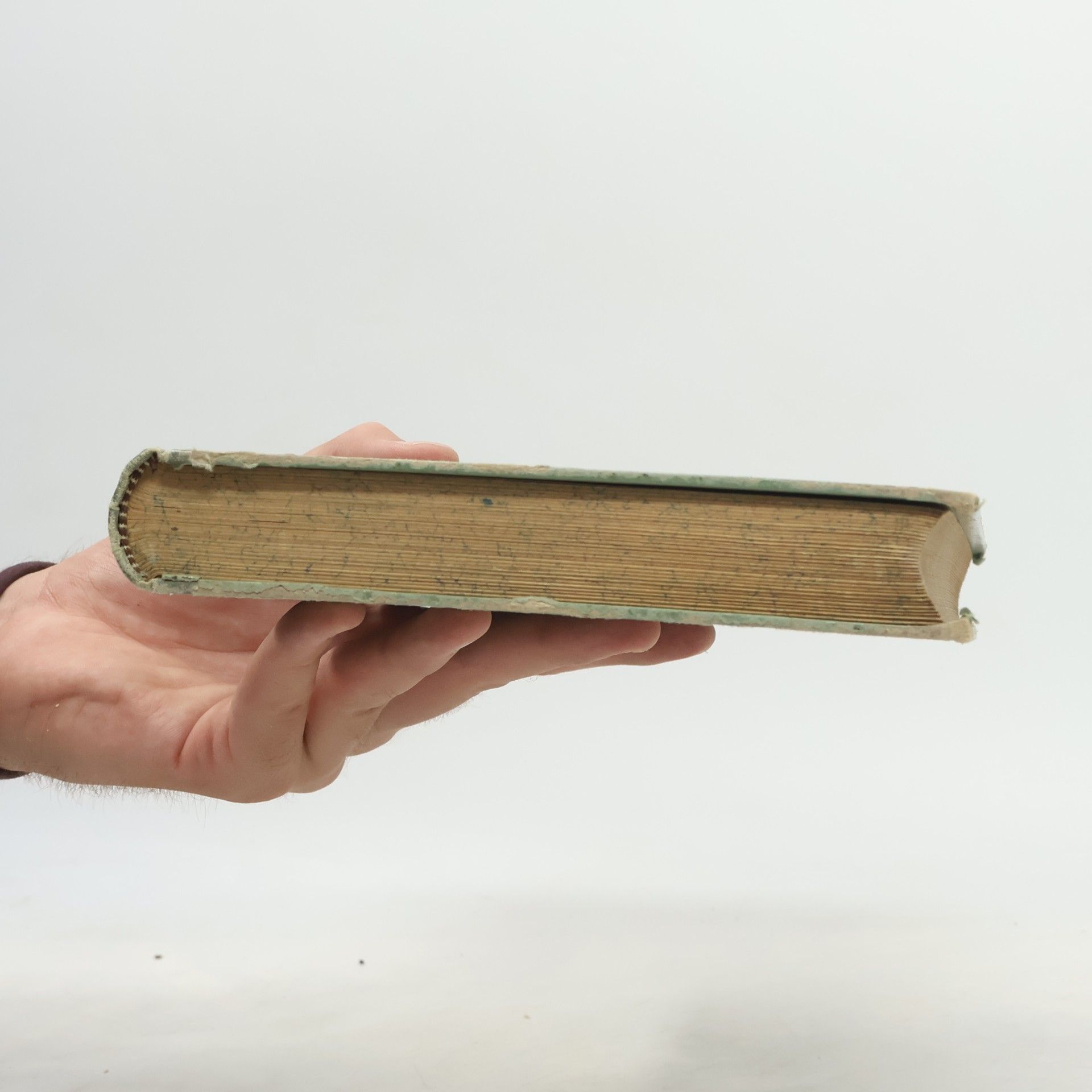 Friedrich Schiller Schiller's Werke 2. Neue Prachtausgabe in zwei Bänden