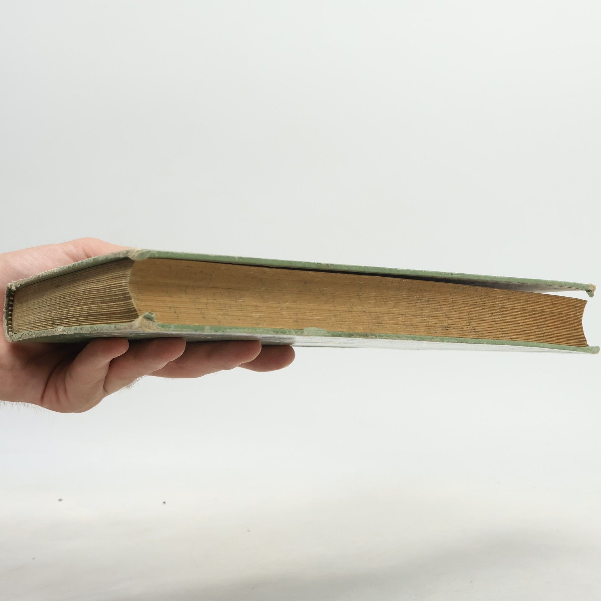 Friedrich Schiller Schiller's Werke 2. Neue Prachtausgabe in zwei Bänden
