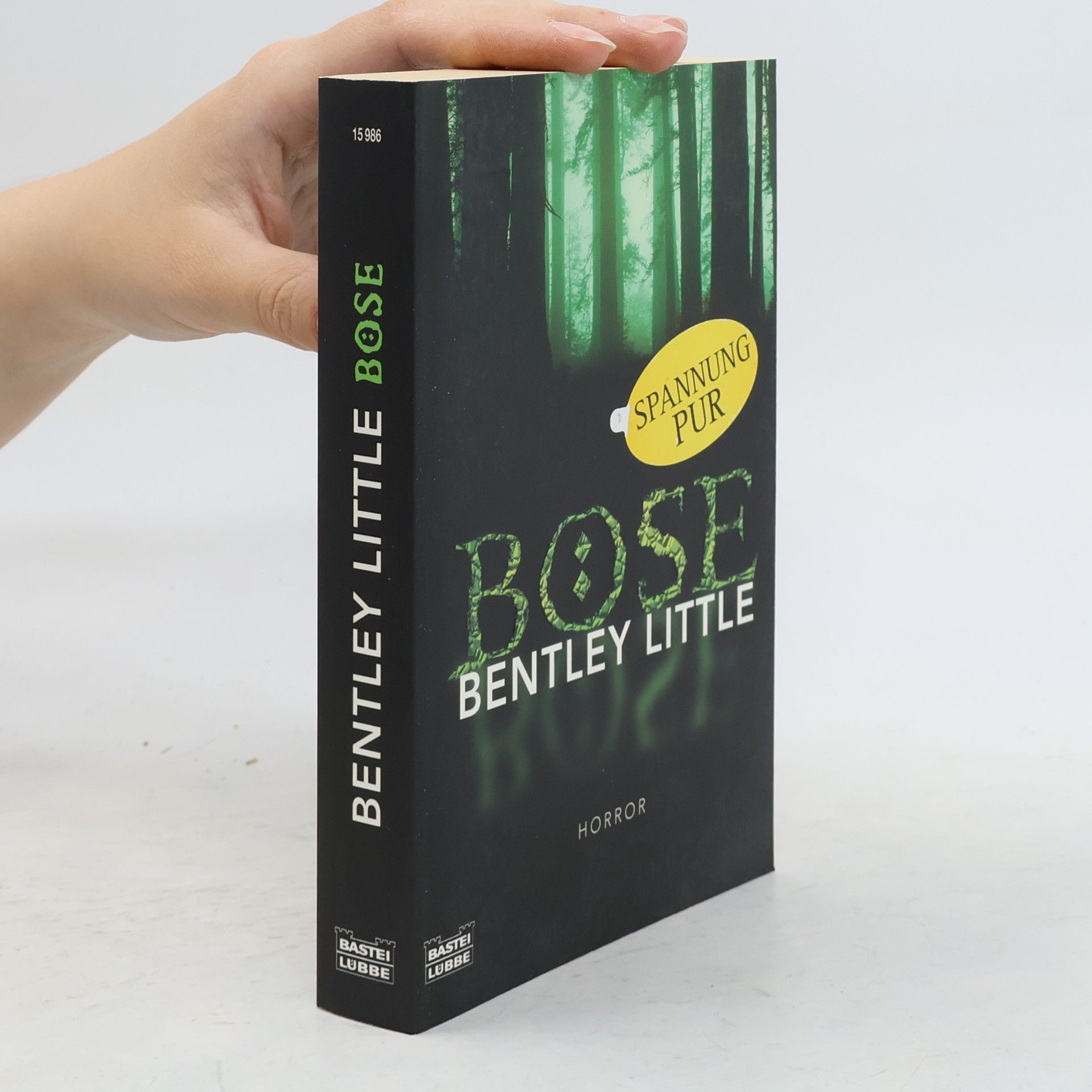 Bentley Little Böse