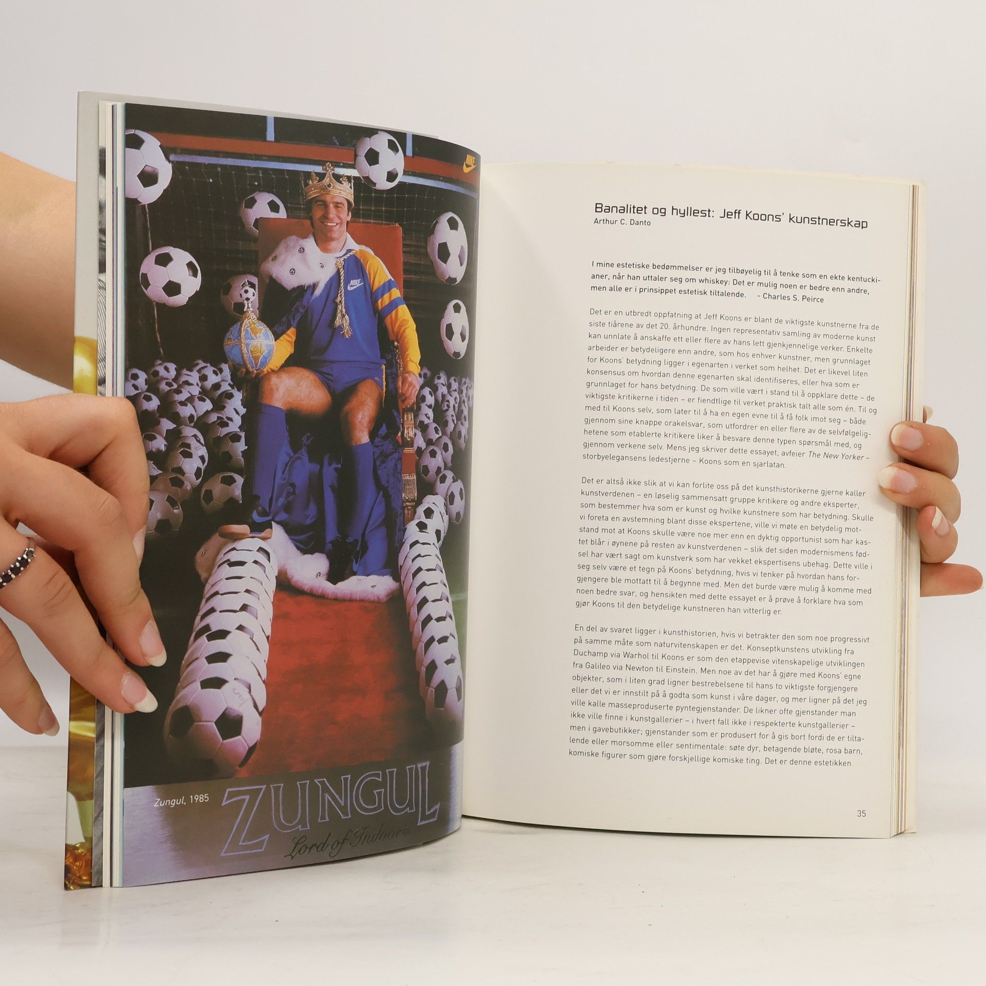 Arthur Danto Jeff Koons Retrospektiv / Retrospective